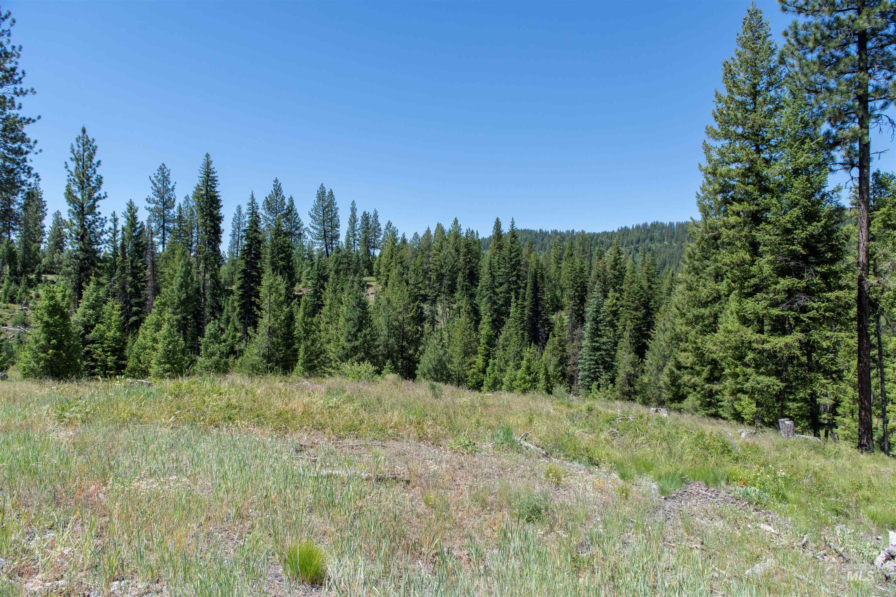 TBD 33 Clear Creek Road, Cascade, Idaho 83611, Land For Sale, Price $250,325,MLS 98916723