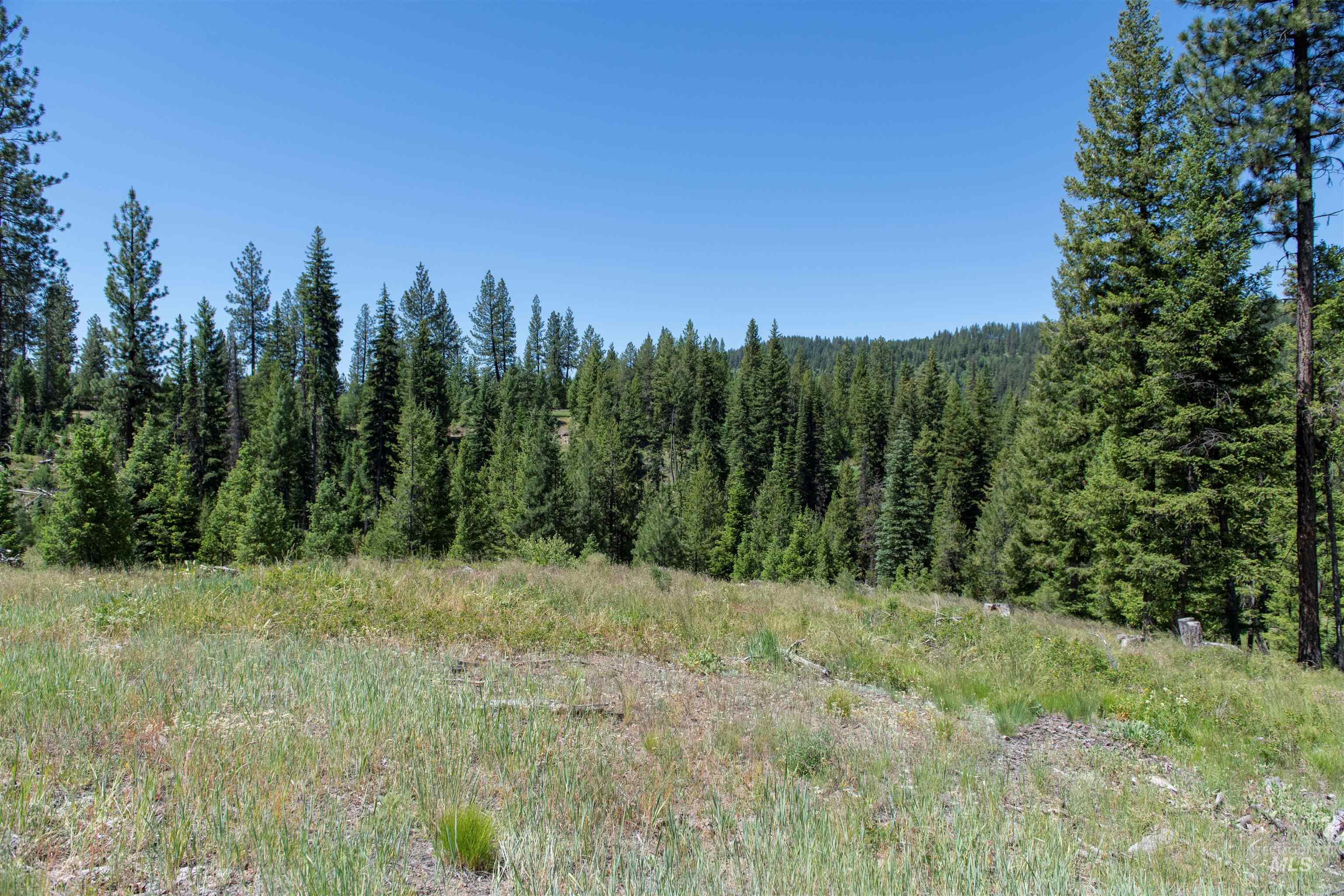 TBD 33 Clear Creek Road, Cascade, Idaho 83611, Land For Sale, Price $250,325,MLS 98916723