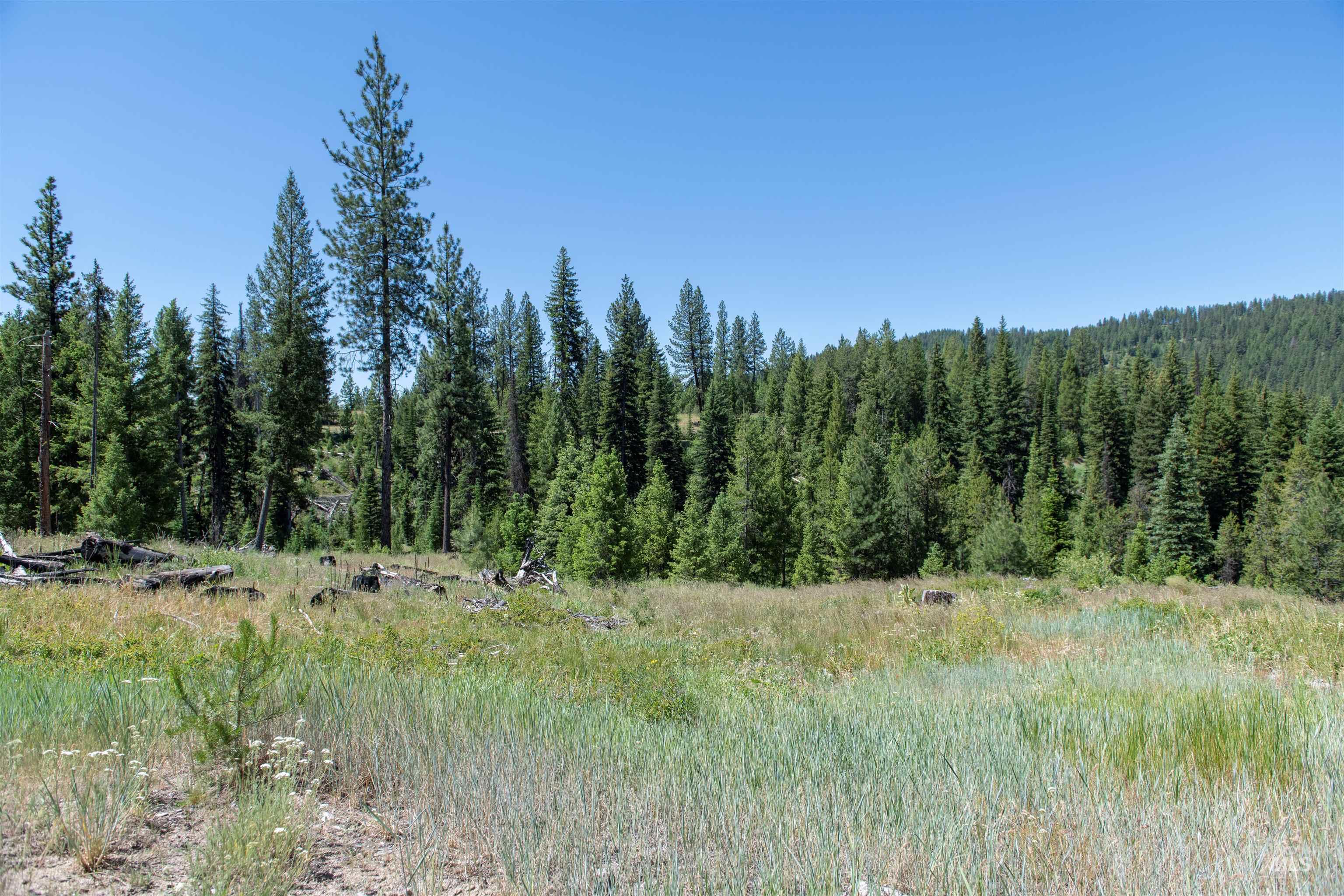 TBD 33 Clear Creek Road, Cascade, Idaho 83611, Land For Sale, Price $250,325,MLS 98916723