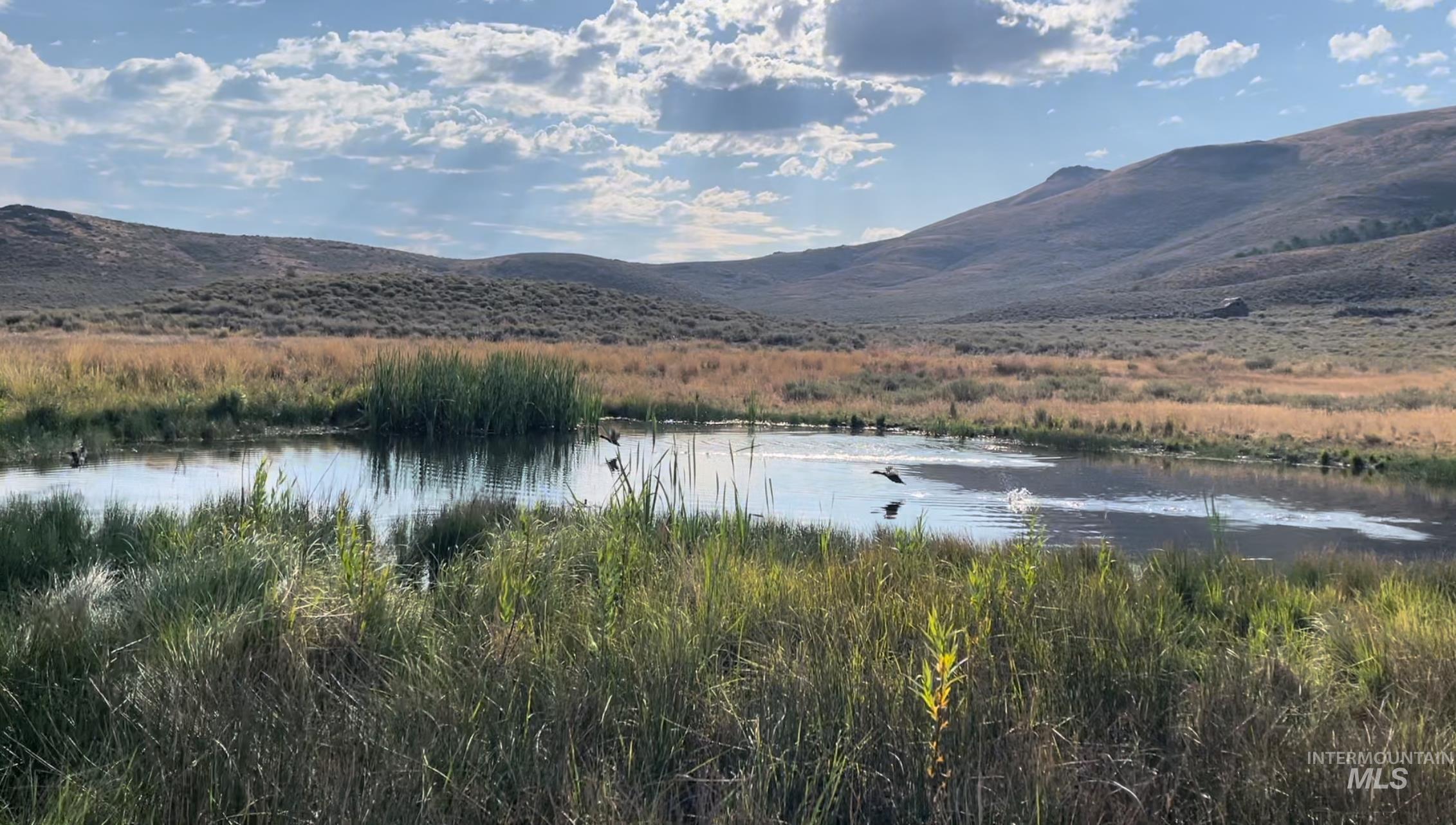 Monument Gulch 320, Fairfield, Idaho 83327, Land For Sale, Price $1,400,000, 98916793