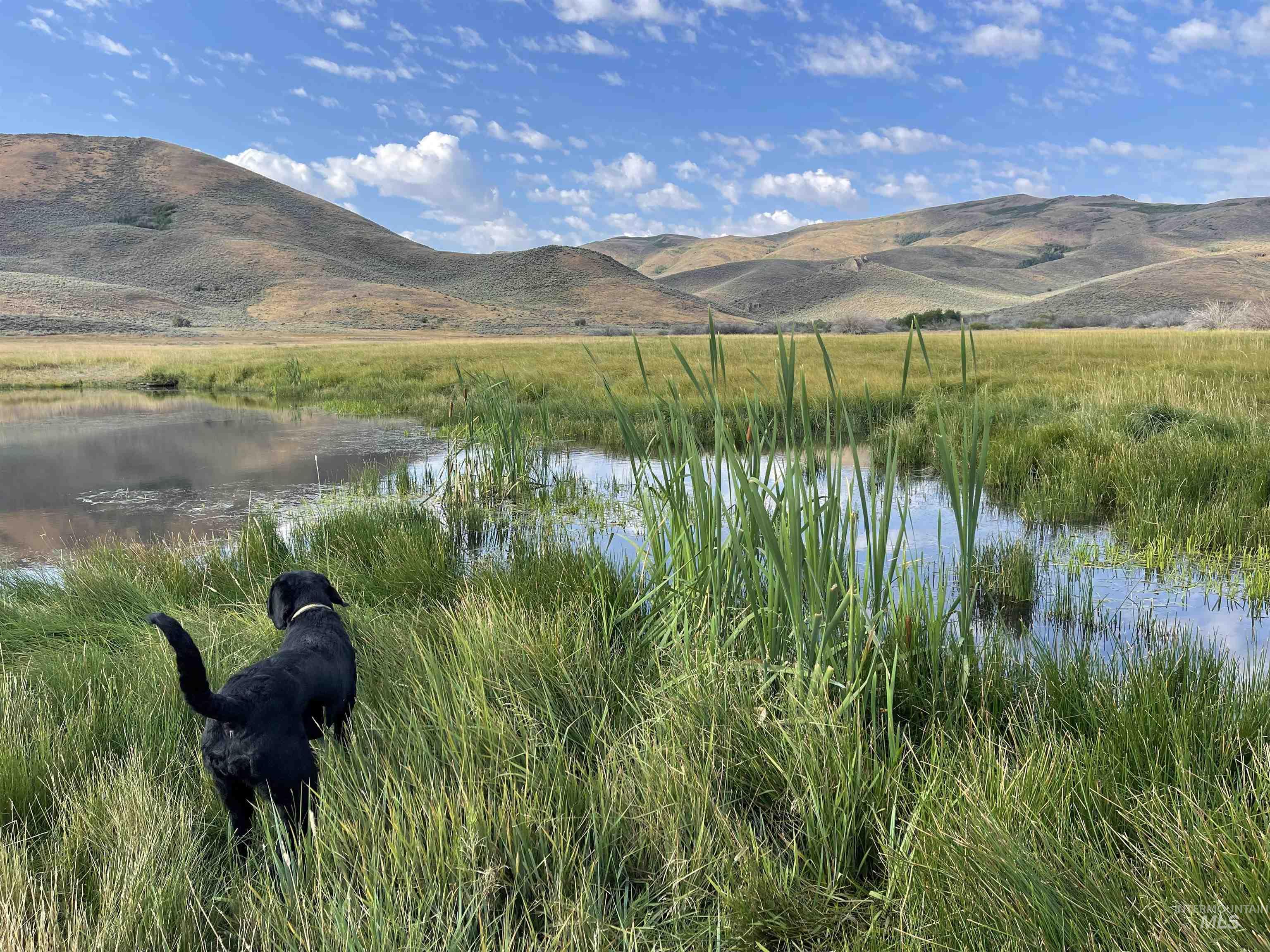 Monument Gulch 320, Fairfield, Idaho 83327, Land For Sale, Price $1,400,000, 98916793