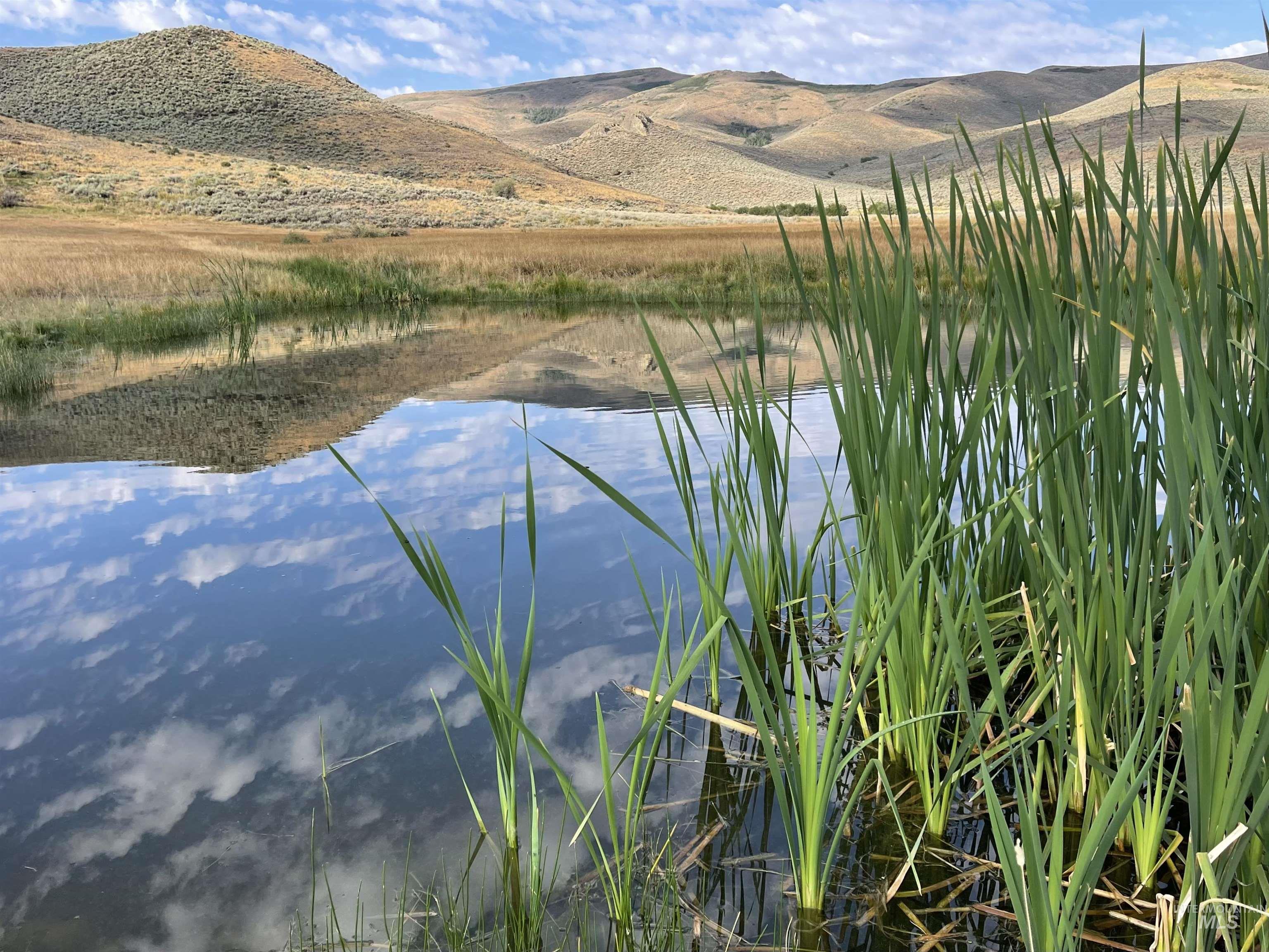 Monument Gulch 320, Fairfield, Idaho 83327, Land For Sale, Price $1,400,000, 98916793