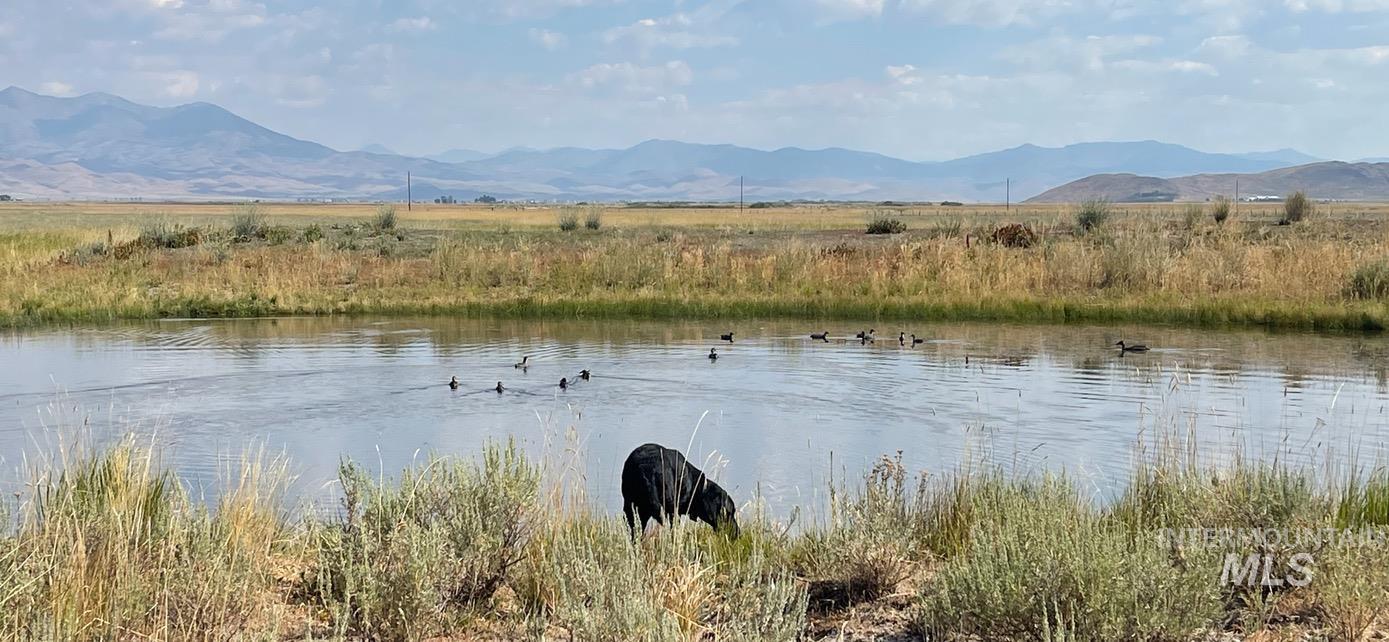 Monument Gulch 320, Fairfield, Idaho 83327, Land For Sale, Price $1,400,000, 98916793