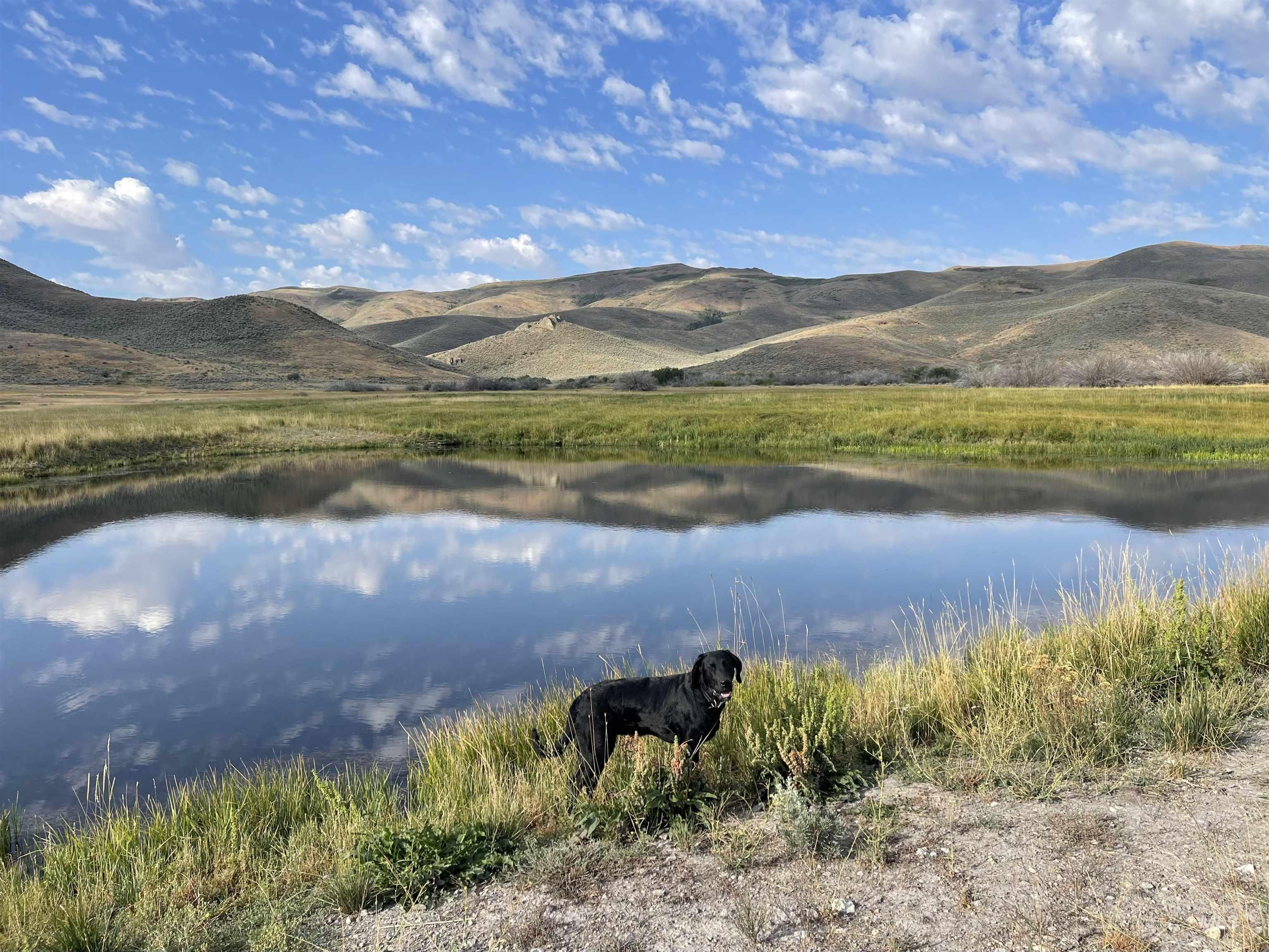 Monument Gulch 320, Fairfield, Idaho 83327, Land For Sale, Price $1,400,000, 98916793