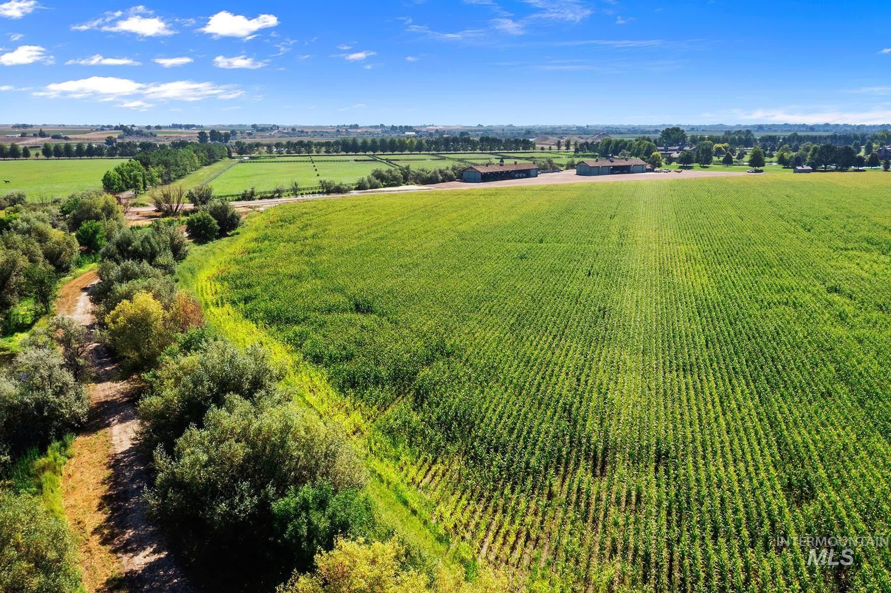 26263 Hwy 95, Parma, Idaho 83660, 4 Bedrooms, 5.5 Bathrooms, Farm & Ranch For Sale, Price $22,500,000, 98917358