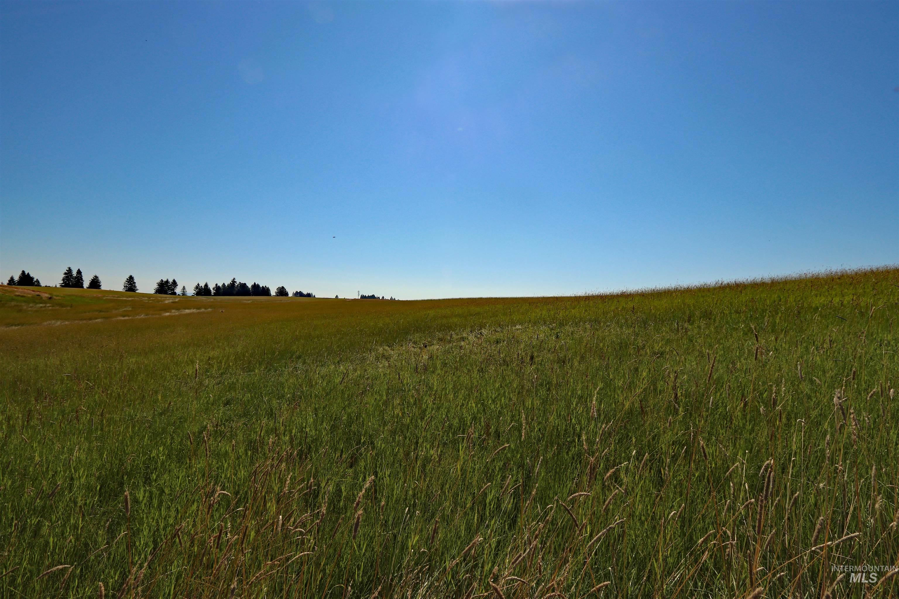 TBD Stuart Road, Parcel A, Orofino, Idaho 83544, Land For Sale, Price $149,999,MLS 98918104