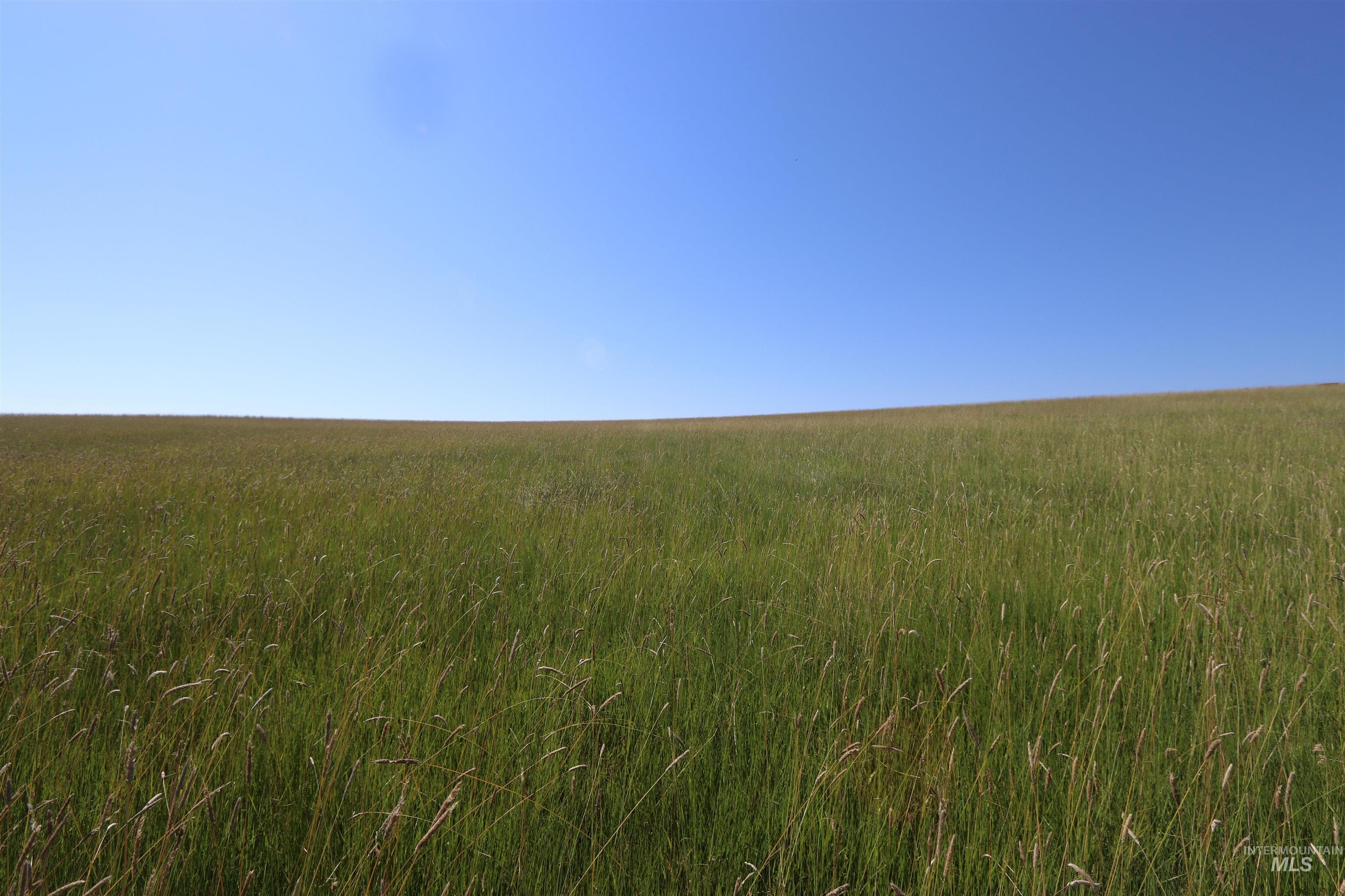 TBD Stuart Road, Parcel A, Orofino, Idaho 83544, Land For Sale, Price $149,999,MLS 98918104