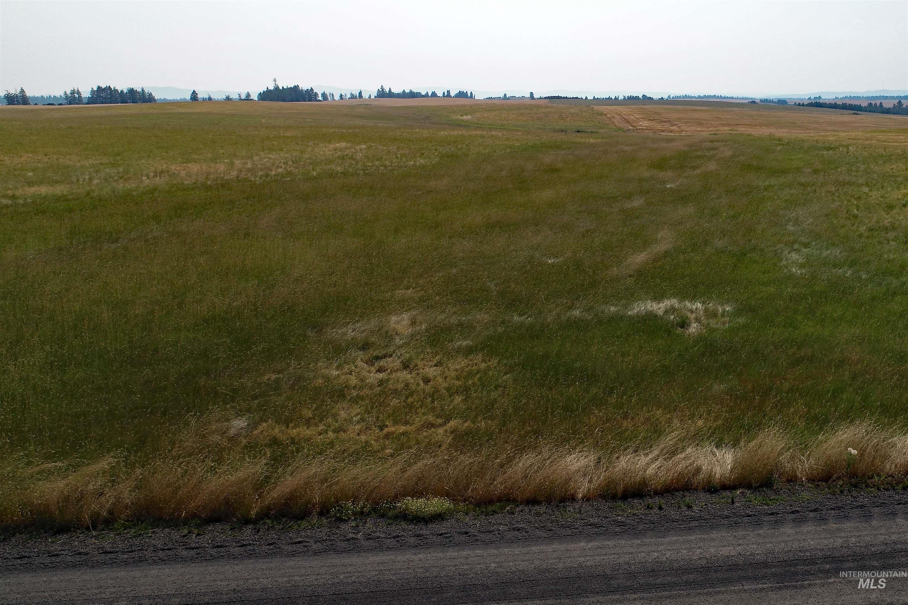 TBD Stuart Road, Parcel A, Orofino, Idaho 83544, Land For Sale, Price $149,999,MLS 98918104