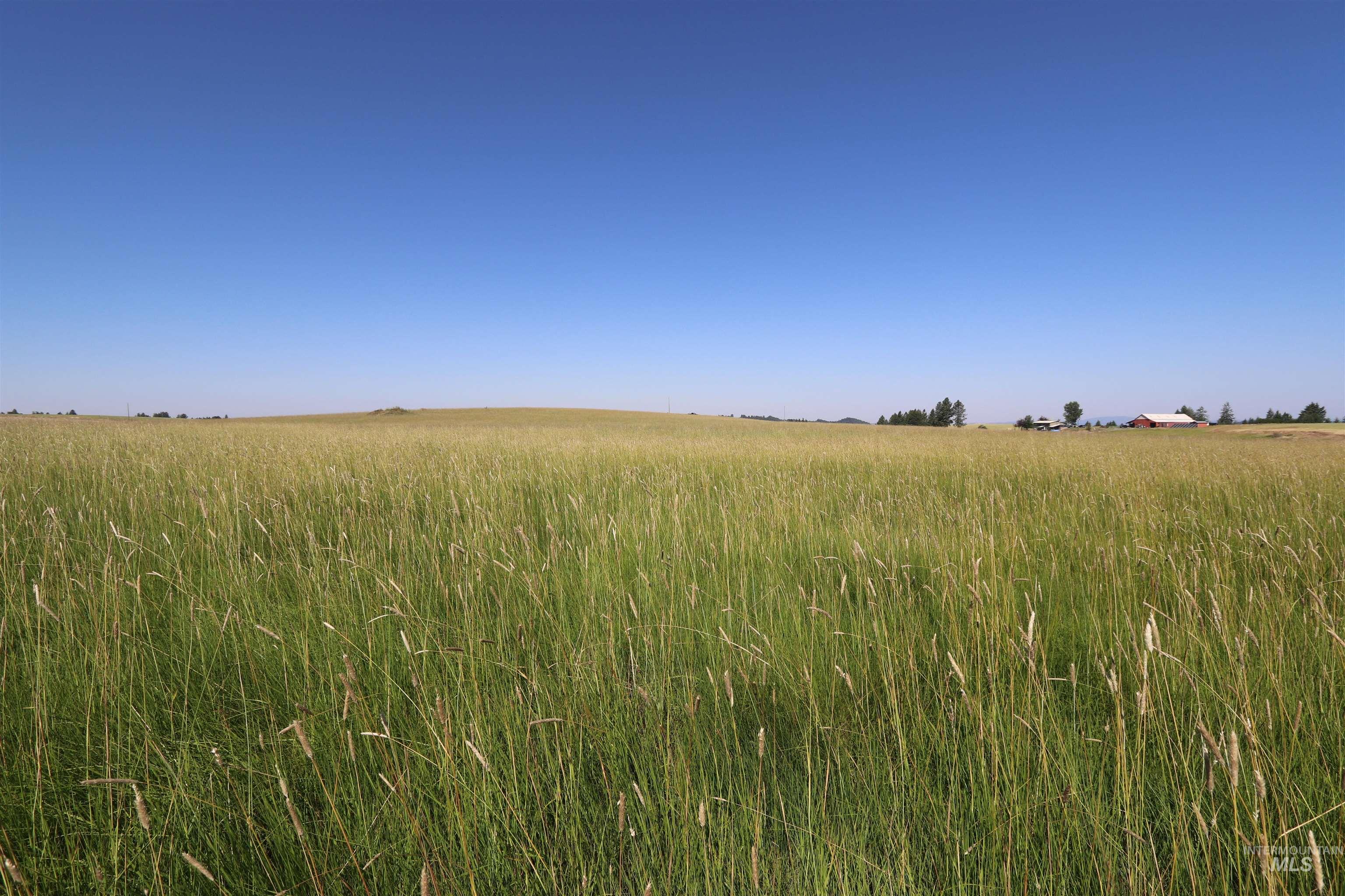 TBD Stuart Road, Parcel A, Orofino, Idaho 83544, Land For Sale, Price $149,999,MLS 98918104