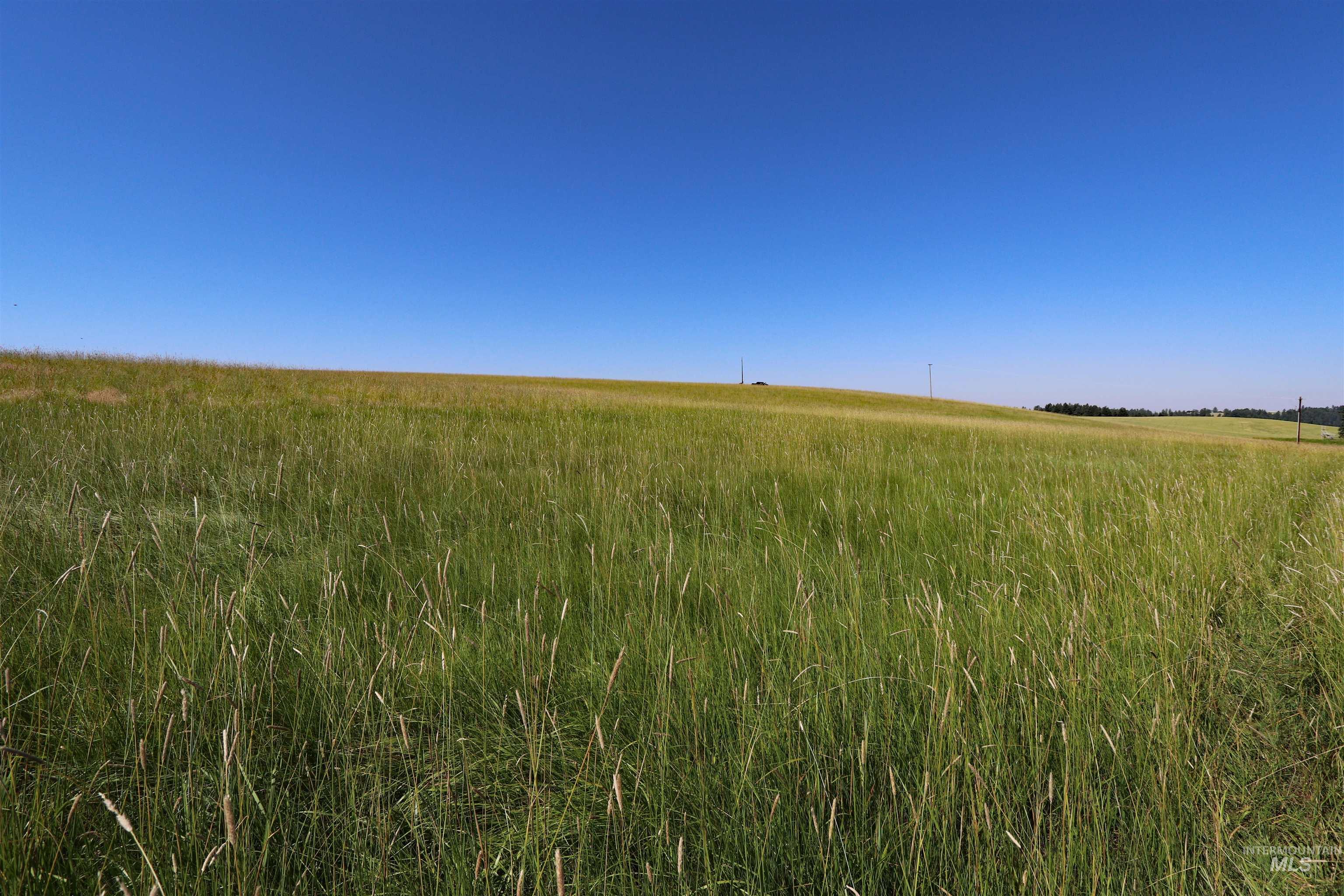 TBD Stuart Road, Parcel A, Orofino, Idaho 83544, Land For Sale, Price $149,999,MLS 98918104