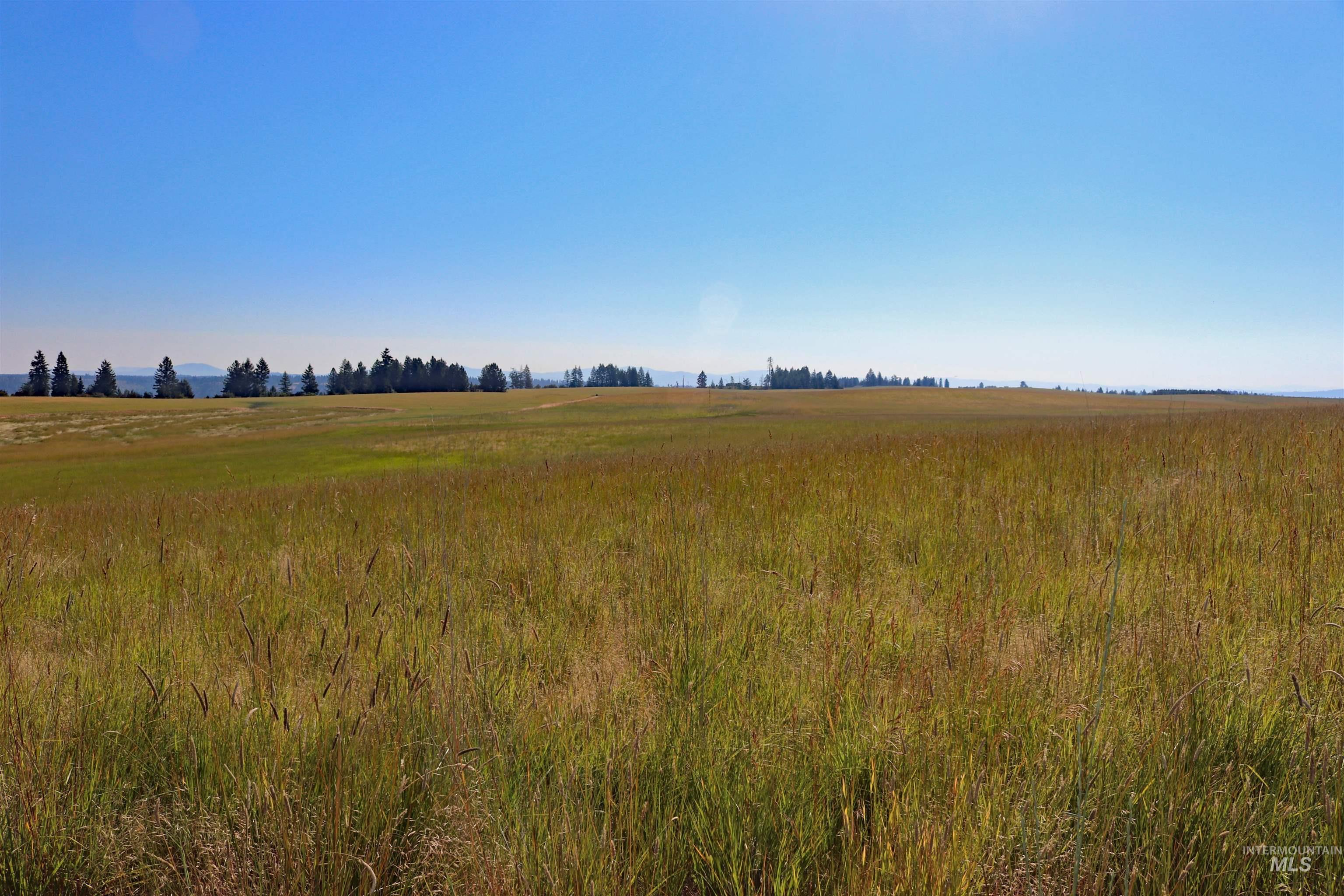 TBD Stuart Road, Parcel A, Orofino, Idaho 83544, Land For Sale, Price $149,999,MLS 98918104