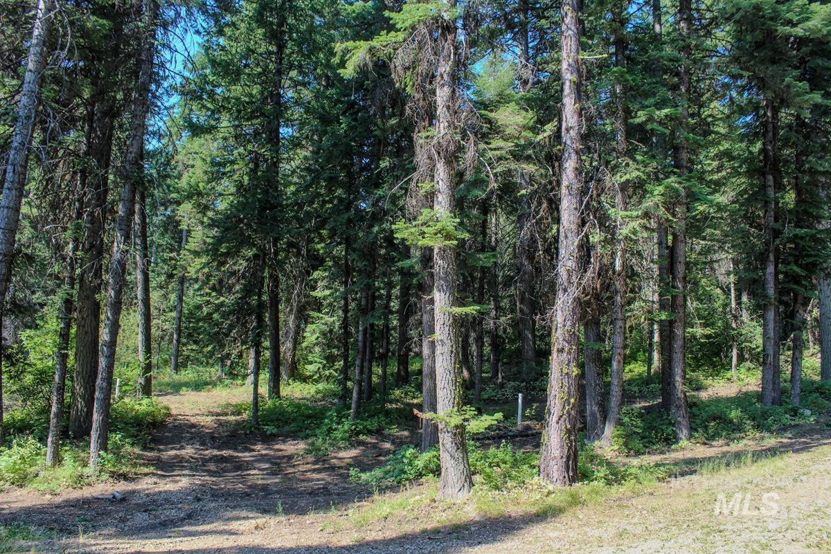 4 Ogburn Lane, Cascade, Idaho 83611, 1 Bedroom, 1 Bathroom, Residential For Sale, Price $419,000,MLS 98918445