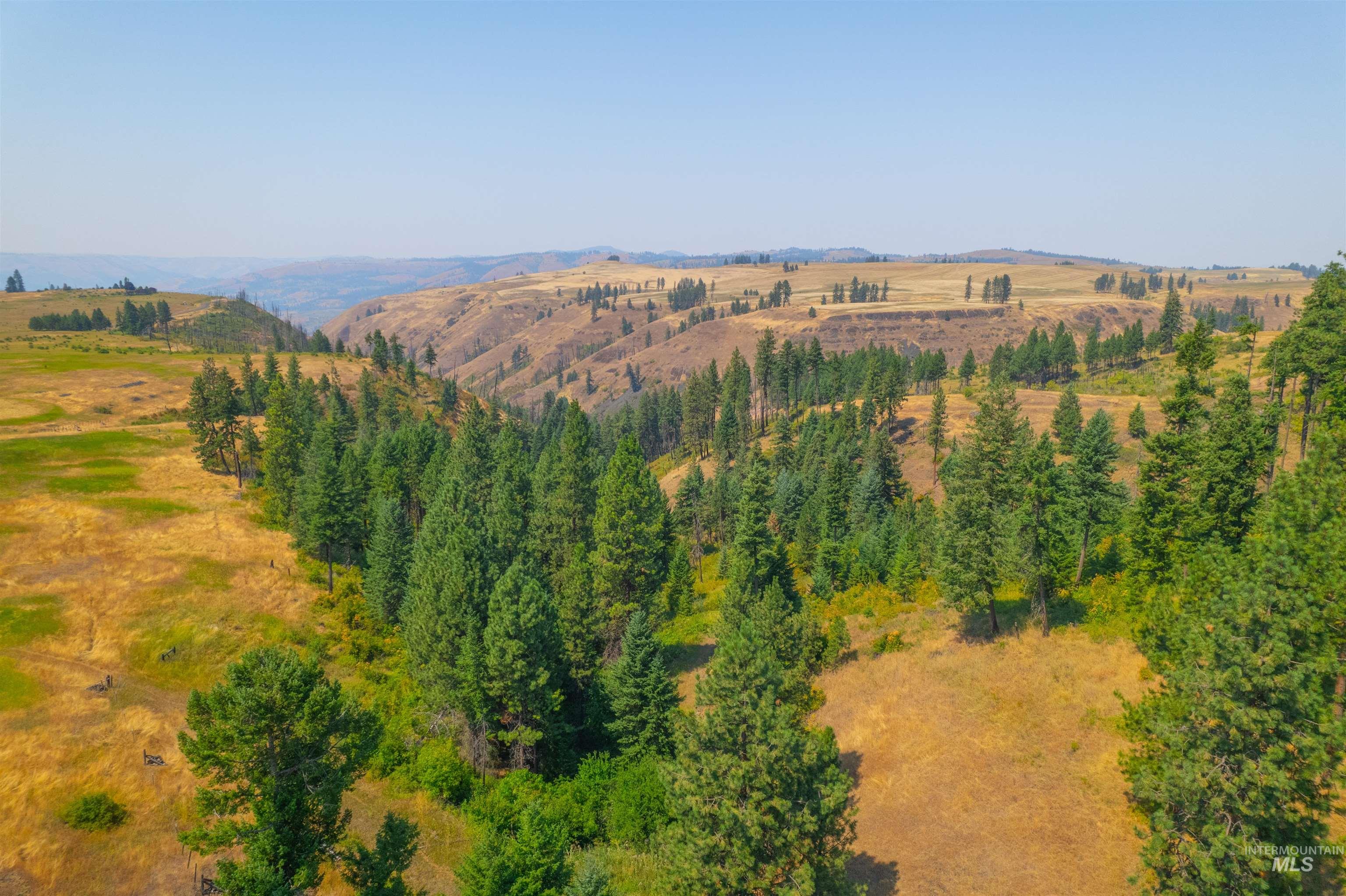 TBD Beaverslide Rd, Kamiah, Idaho 83536, Land For Sale, Price $199,000,MLS 98920317