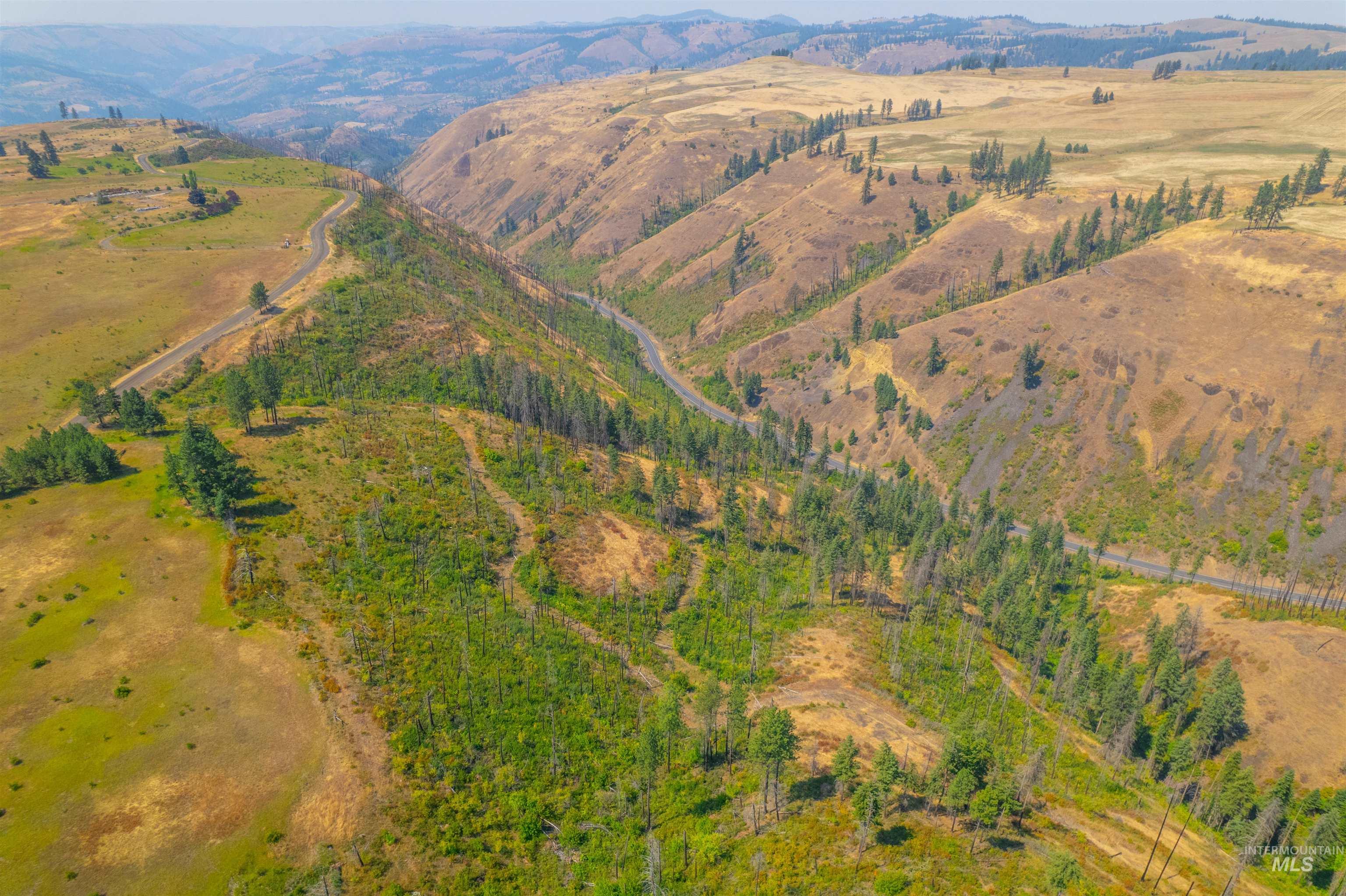 TBD Beaverslide Rd, Kamiah, Idaho 83536, Land For Sale, Price $589,000,MLS 98920318