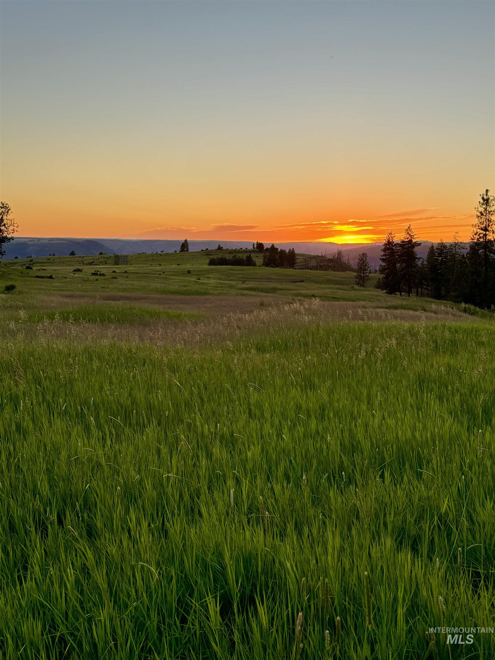 TBD Beaverslide Rd, Kamiah, Idaho 83536, Land For Sale, Price $589,000,MLS 98920318