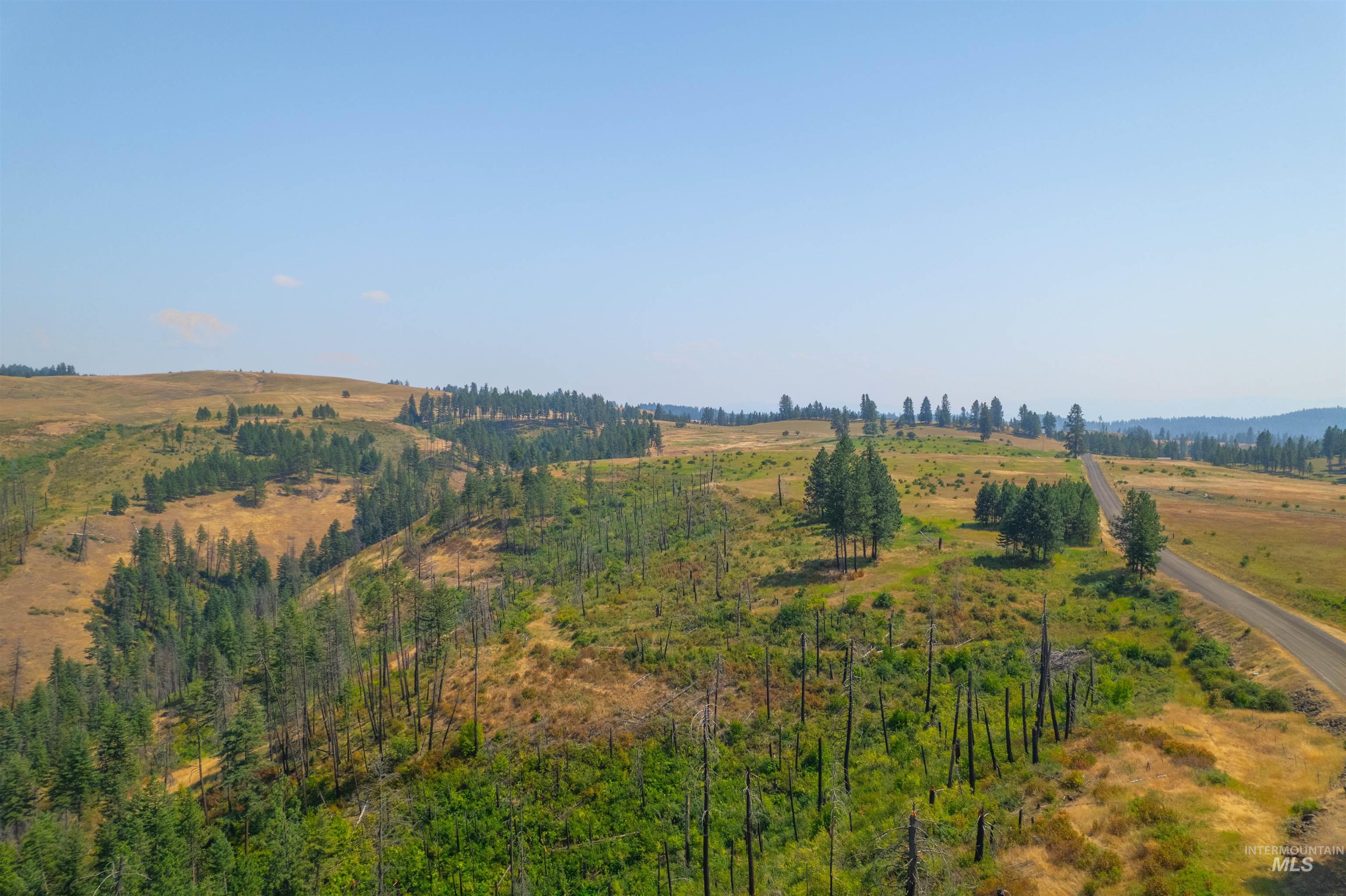 TBD Beaverslide Rd, Kamiah, Idaho 83536, Land For Sale, Price $589,000,MLS 98920318