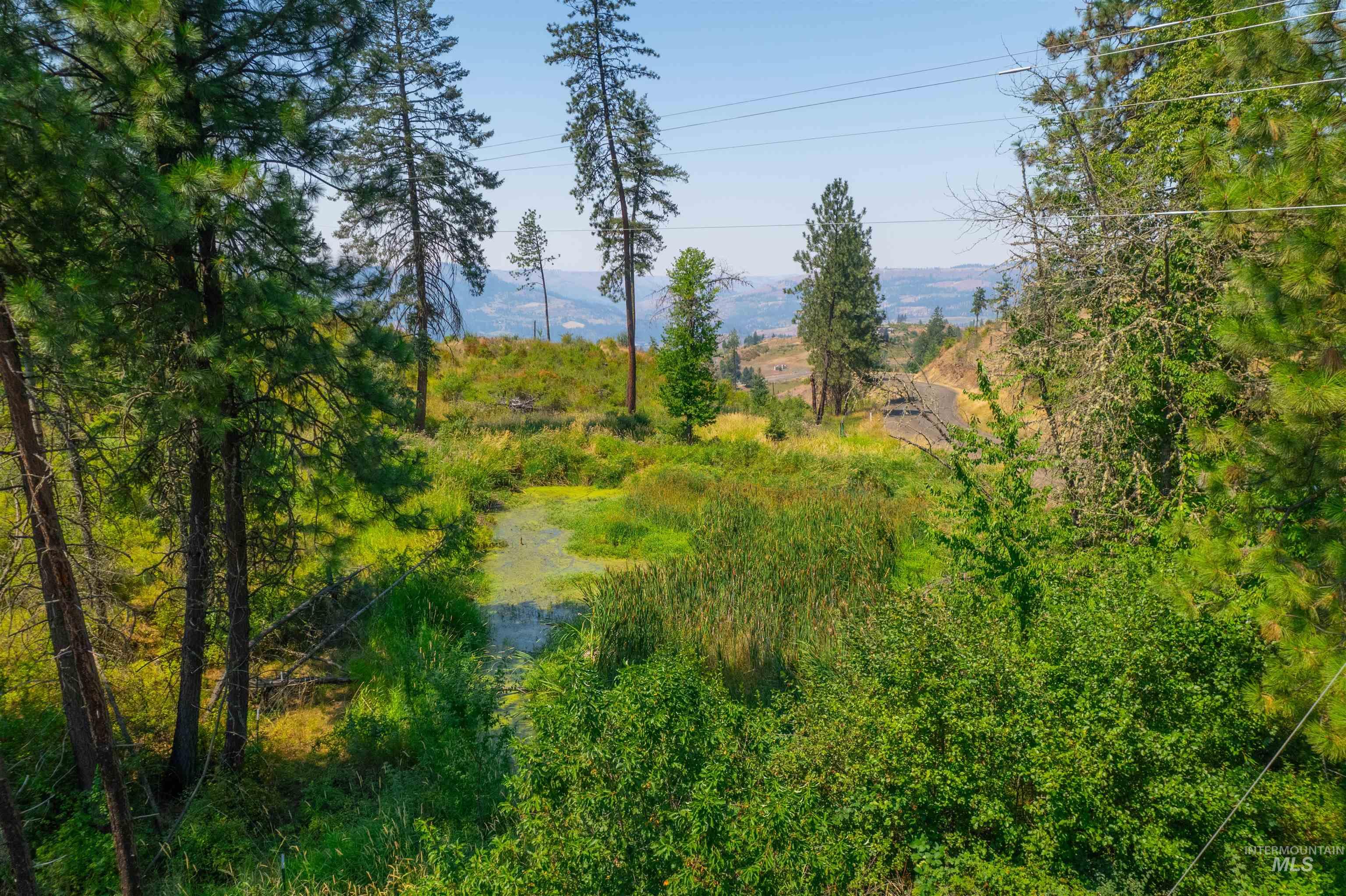 TBD Lot #2 Beaverslide Rd, Kamiah, Idaho 83536, Land For Sale, Price $529,000,MLS 98920319