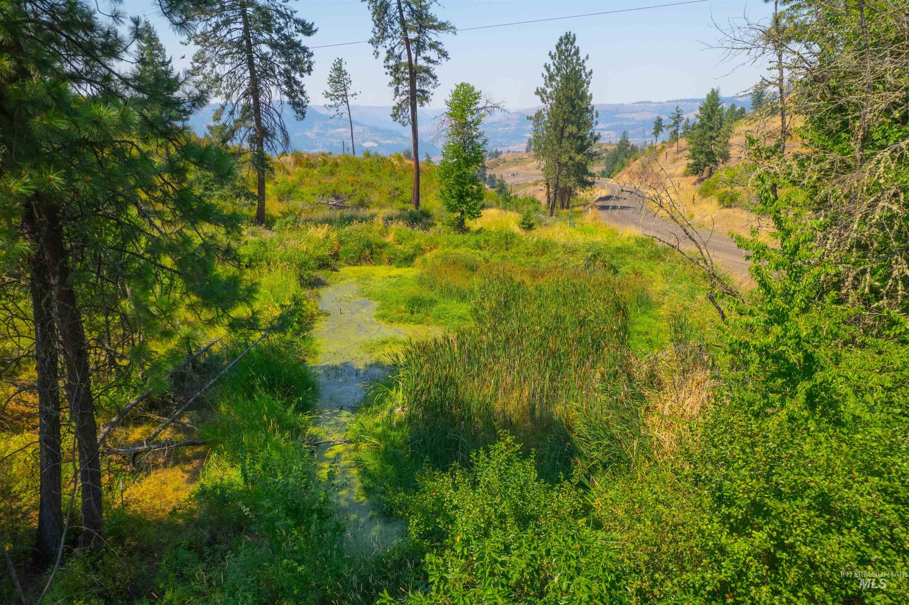 TBD Lot #2 Beaverslide Rd, Kamiah, Idaho 83536, Land For Sale, Price $529,000,MLS 98920319
