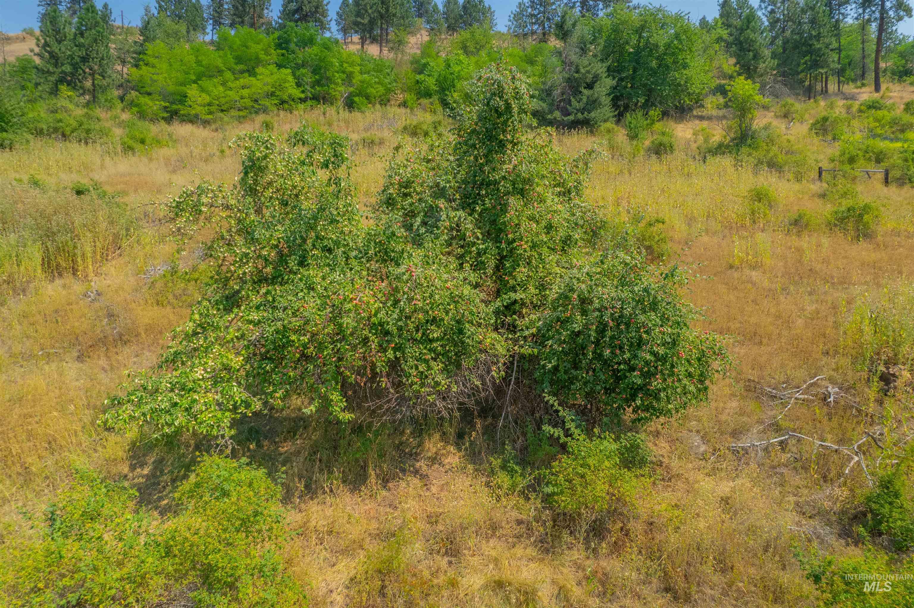 TBD Lot #2 Beaverslide Rd, Kamiah, Idaho 83536, Land For Sale, Price $529,000,MLS 98920319