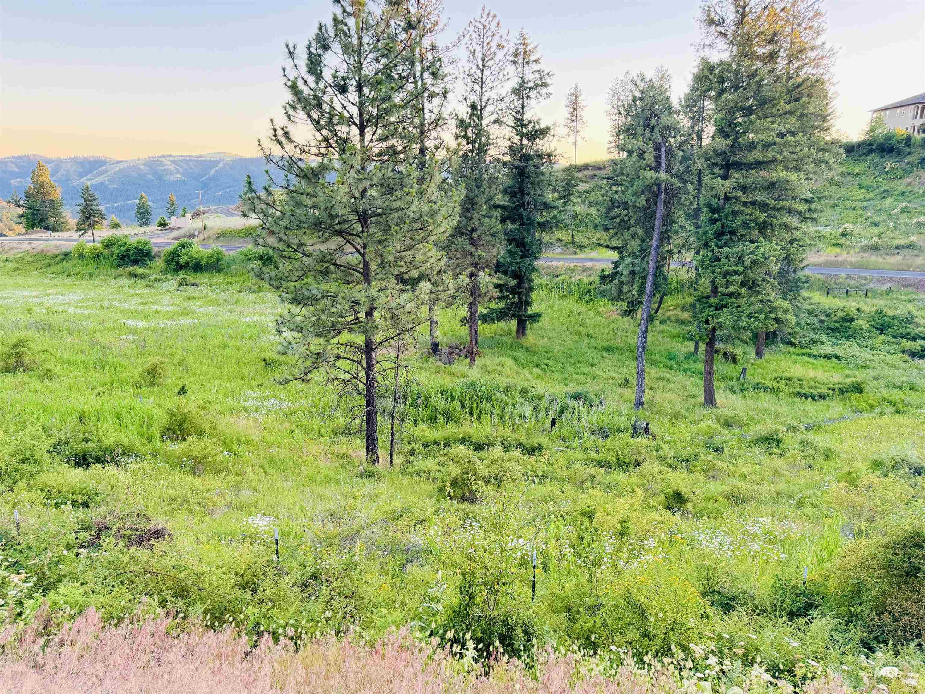 TBD Lot #2 Beaverslide Rd, Kamiah, Idaho 83536, Land For Sale, Price $529,000,MLS 98920319