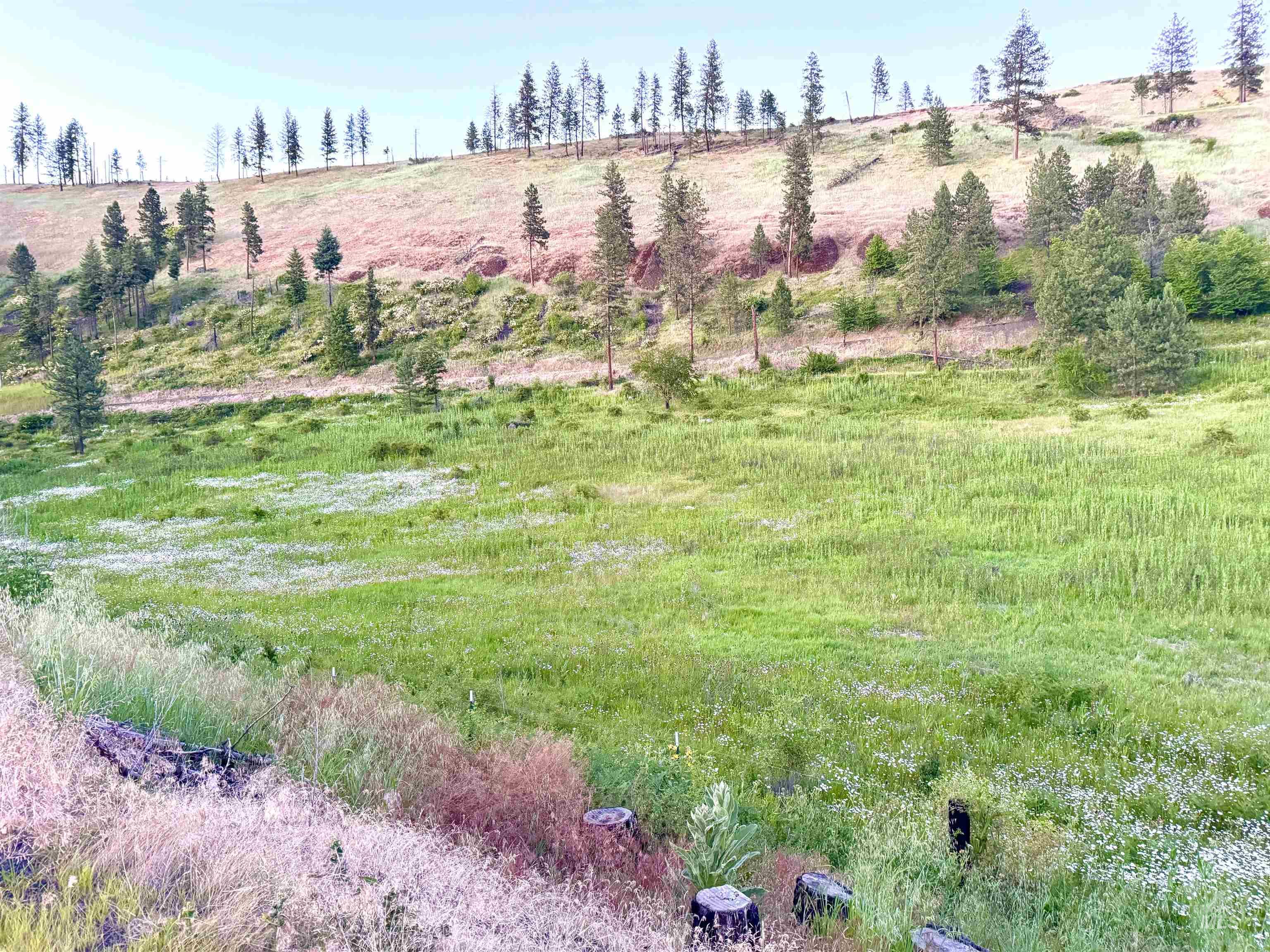 TBD Lot #2 Beaverslide Rd, Kamiah, Idaho 83536, Land For Sale, Price $529,000,MLS 98920319