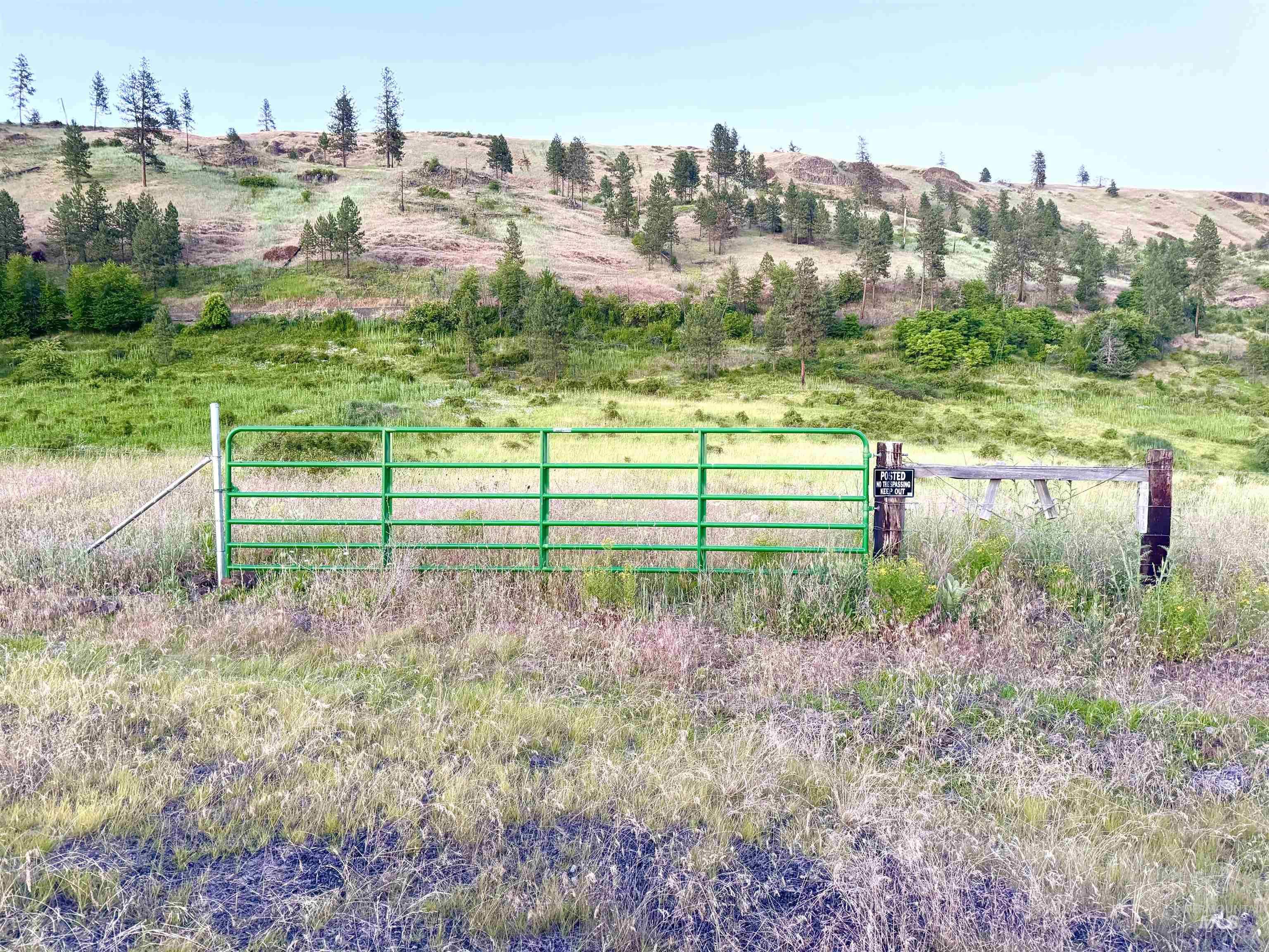 TBD Lot #2 Beaverslide Rd, Kamiah, Idaho 83536, Land For Sale, Price $529,000,MLS 98920319