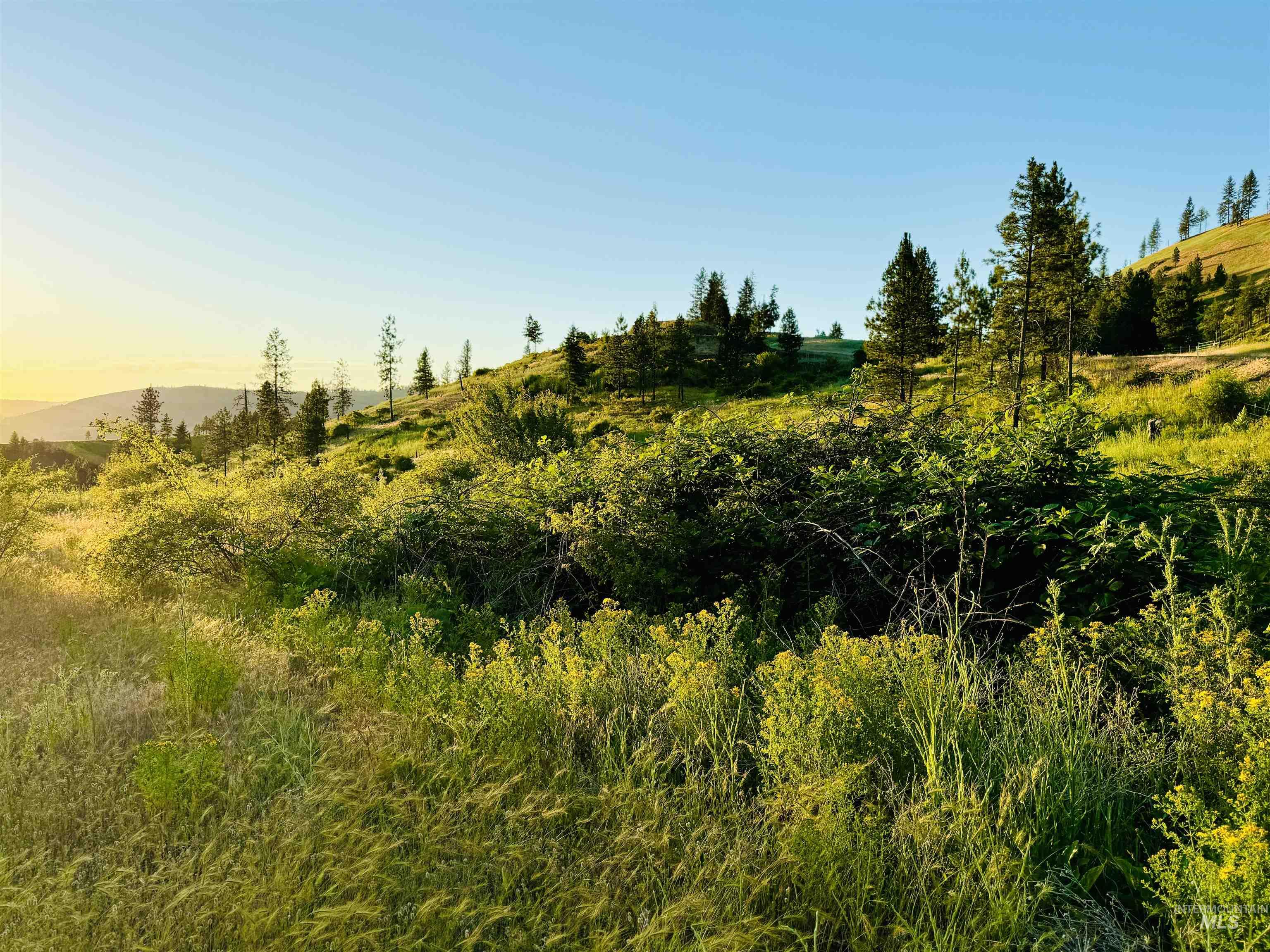 TBD Lot #3 Beaverslide Rd, Kamiah, Idaho 83536, Land For Sale, Price $175,000,MLS 98920321