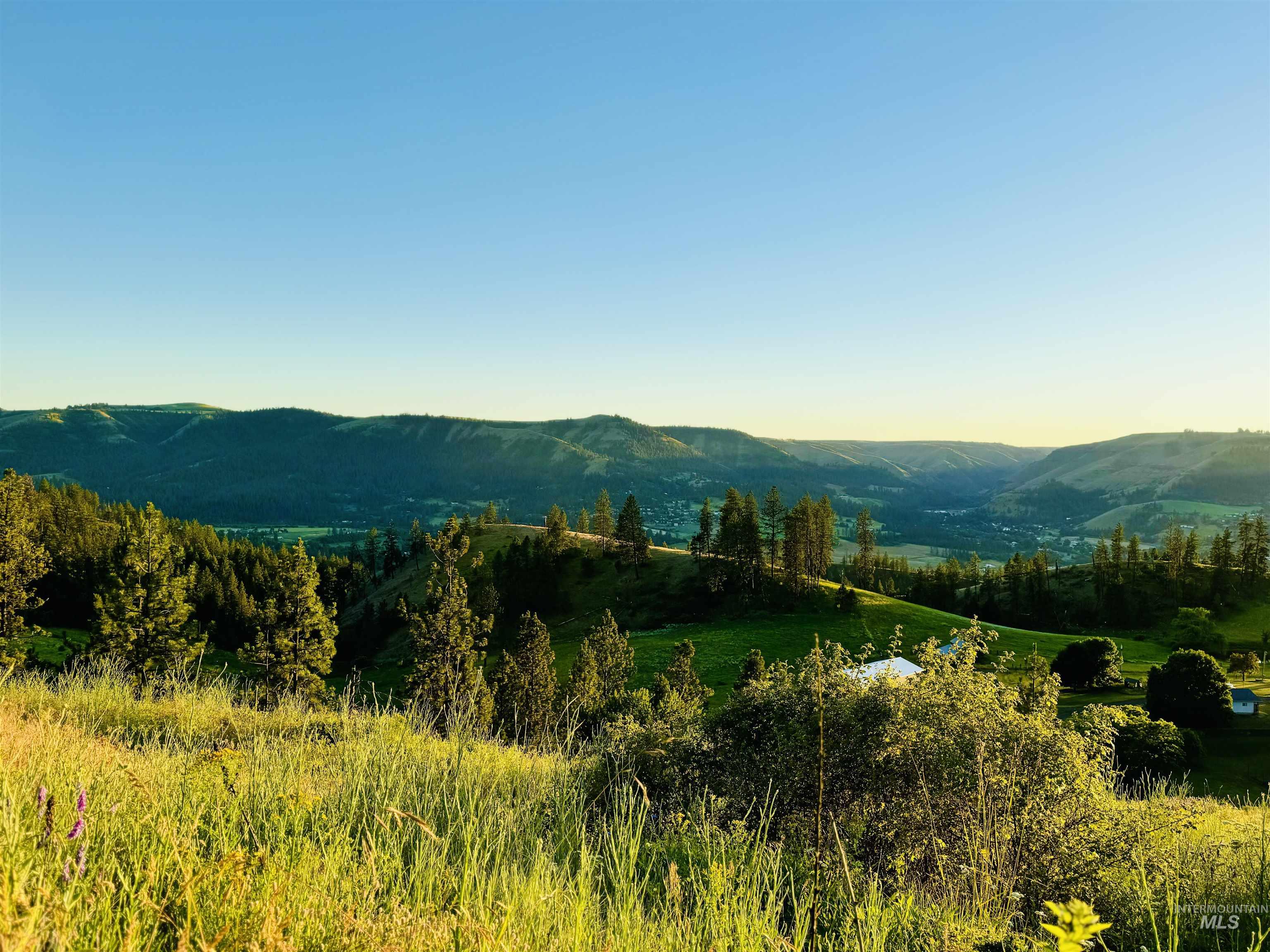 TBD Lot #3 Beaverslide Rd, Kamiah, Idaho 83536, Land For Sale, Price $175,000,MLS 98920321