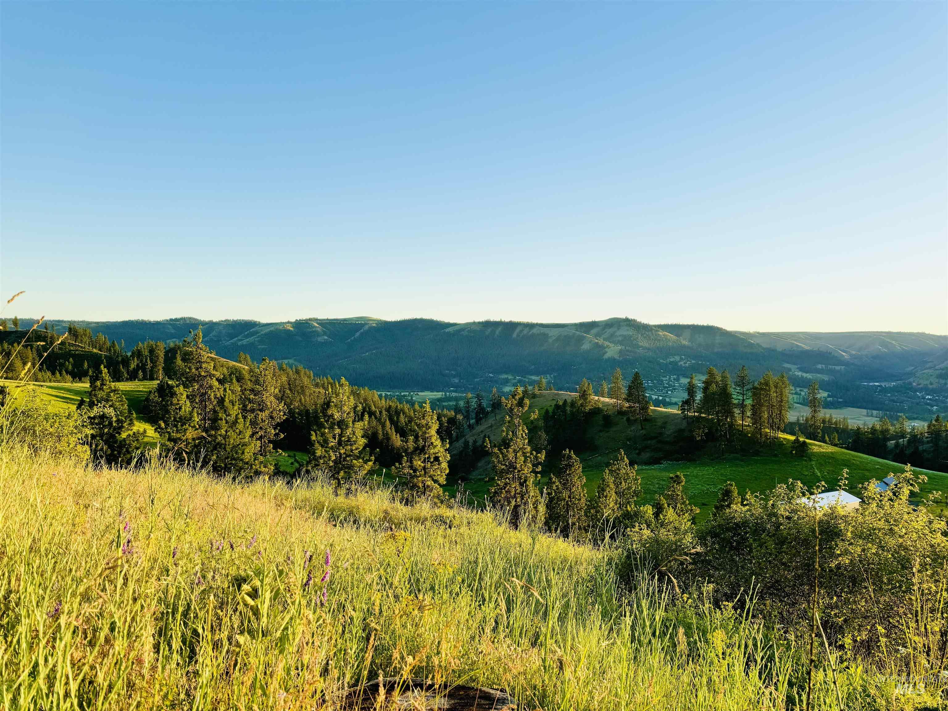 TBD Lot #3 Beaverslide Rd, Kamiah, Idaho 83536, Land For Sale, Price $175,000,MLS 98920321