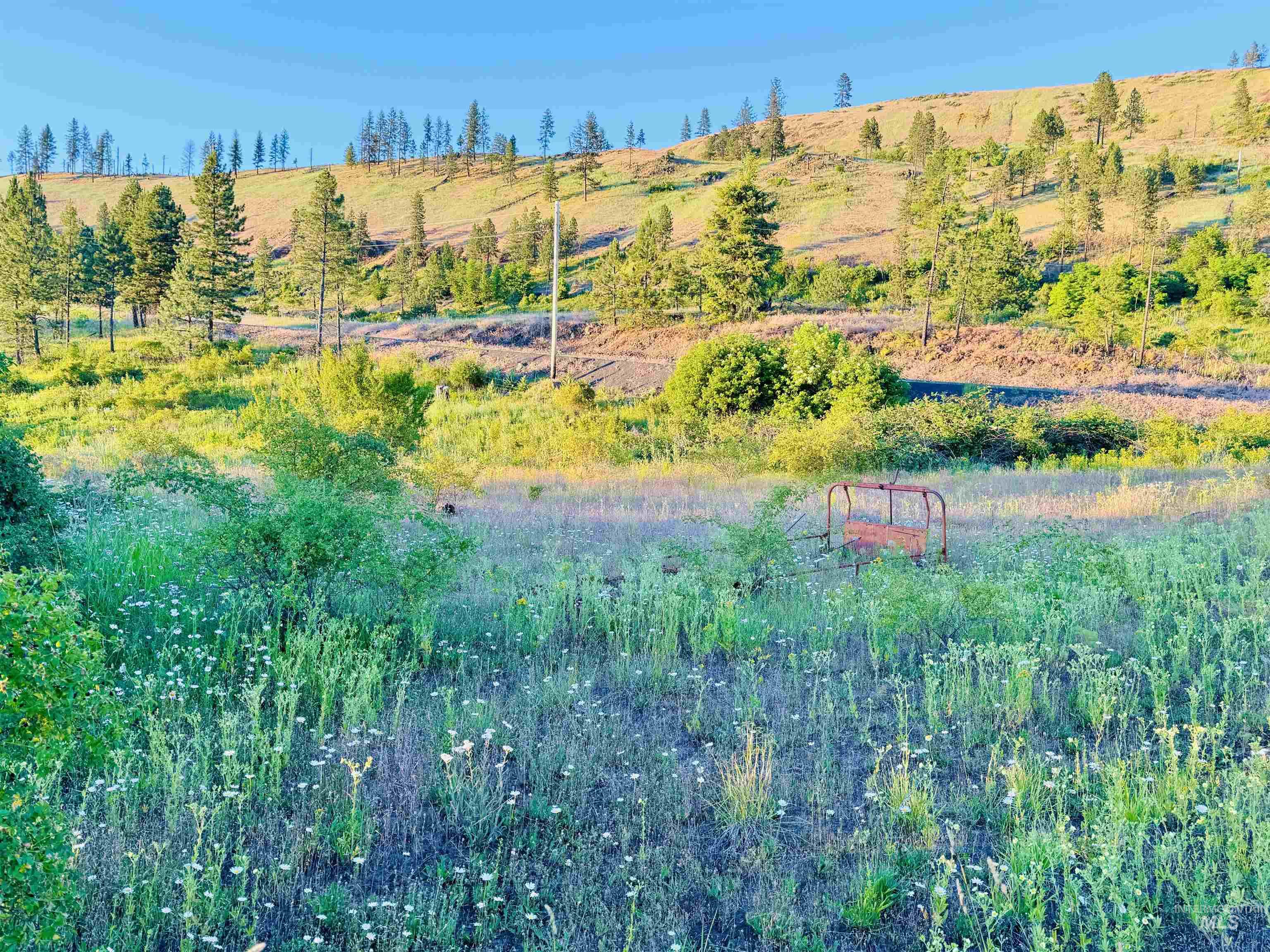 TBD Lot #3 Beaverslide Rd, Kamiah, Idaho 83536, Land For Sale, Price $175,000,MLS 98920321