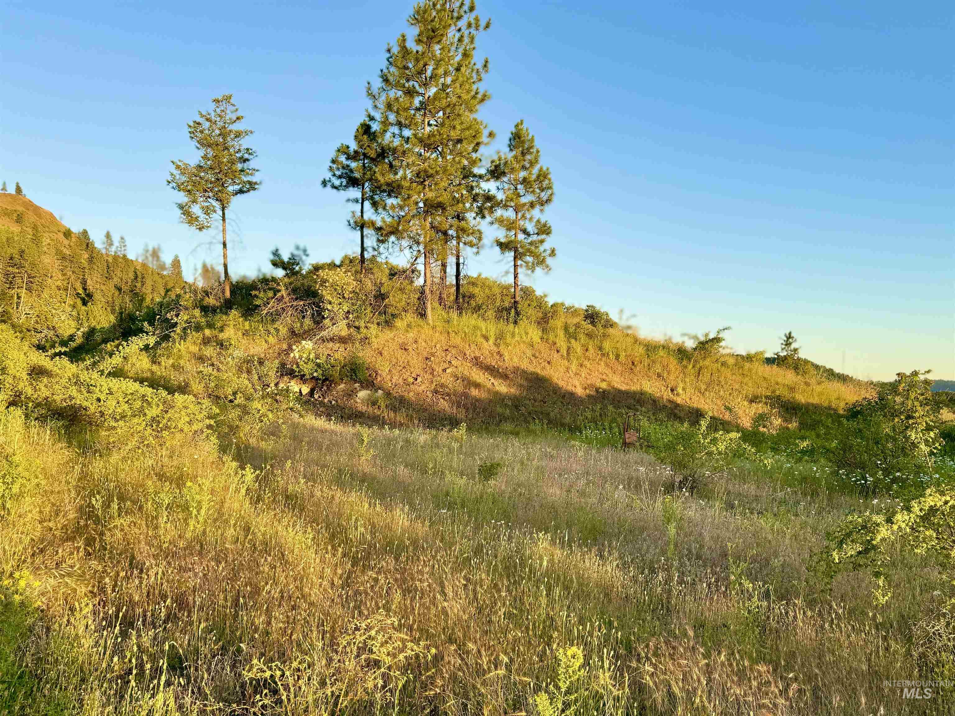 TBD Lot #3 Beaverslide Rd, Kamiah, Idaho 83536, Land For Sale, Price $175,000,MLS 98920321