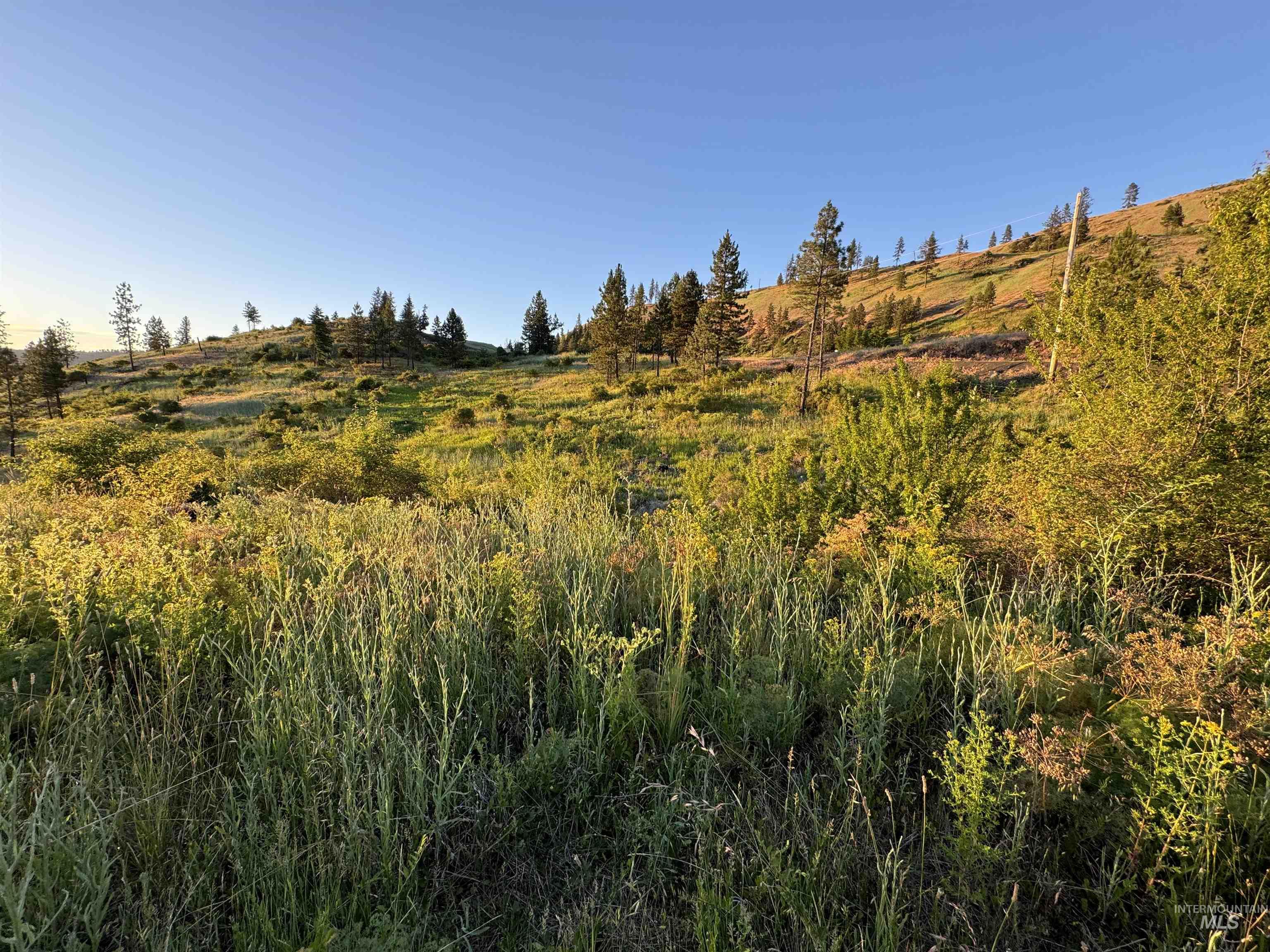 TBD Lot #3 Beaverslide Rd, Kamiah, Idaho 83536, Land For Sale, Price $175,000,MLS 98920321