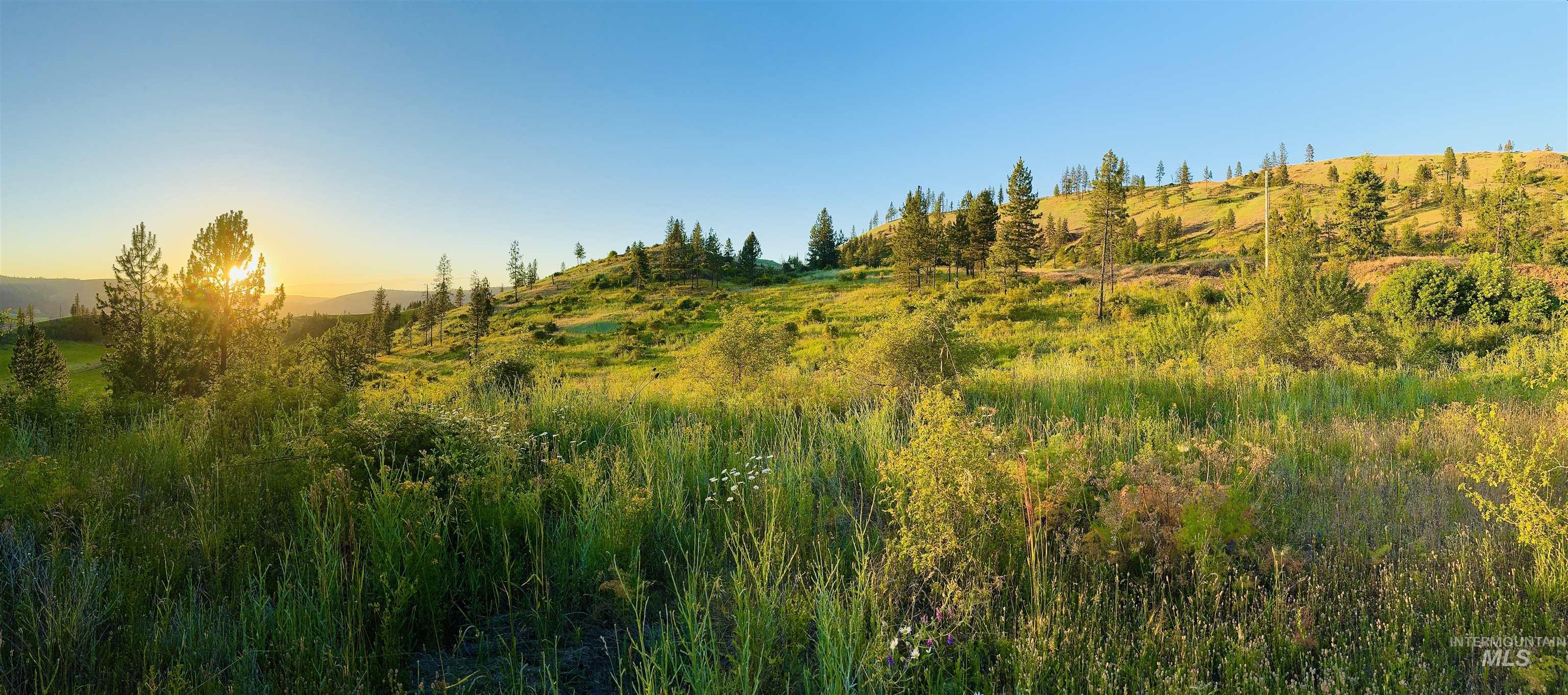 TBD Lot #3 Beaverslide Rd, Kamiah, Idaho 83536, Land For Sale, Price $175,000,MLS 98920321