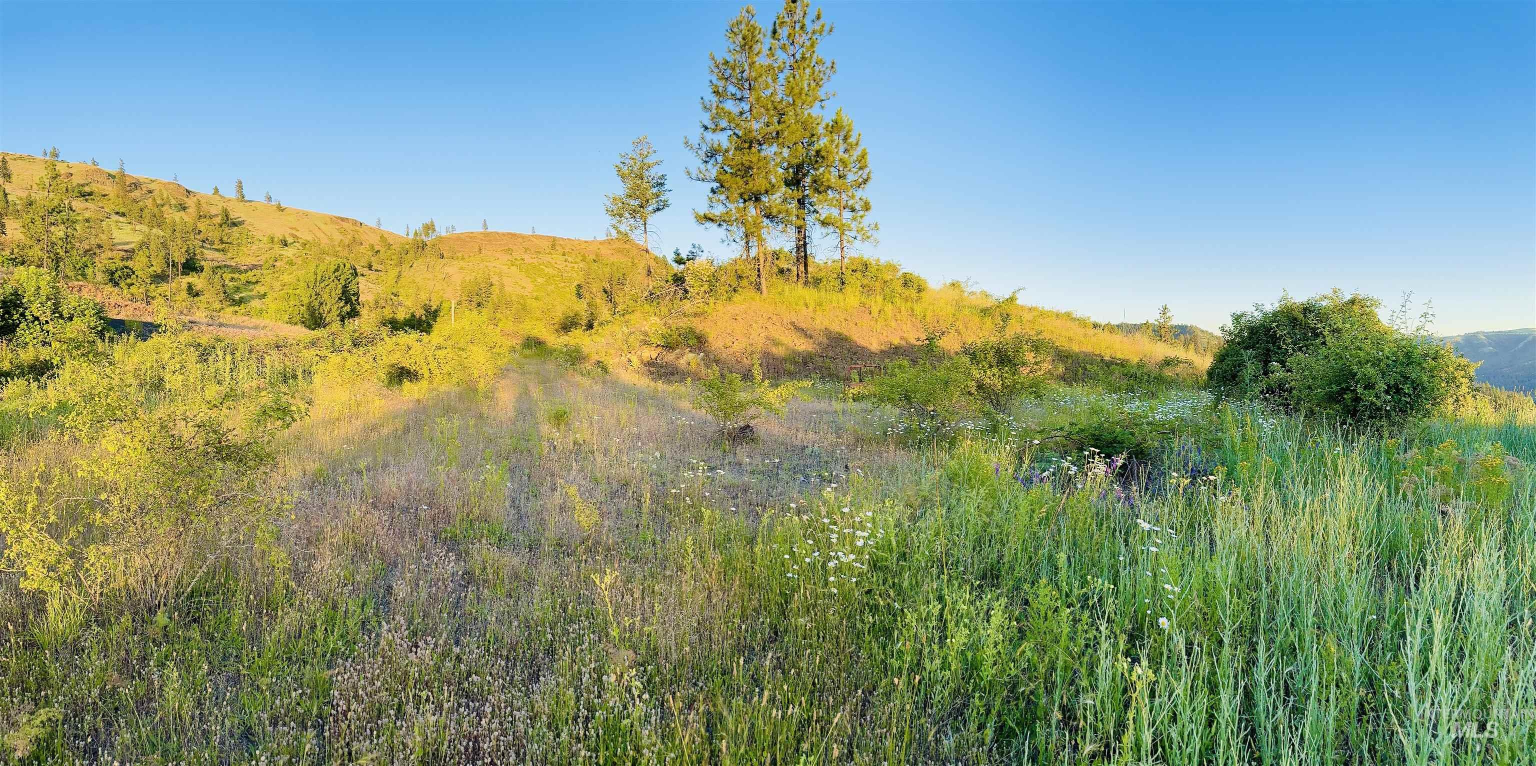 TBD Lot #3 Beaverslide Rd, Kamiah, Idaho 83536, Land For Sale, Price $175,000,MLS 98920321