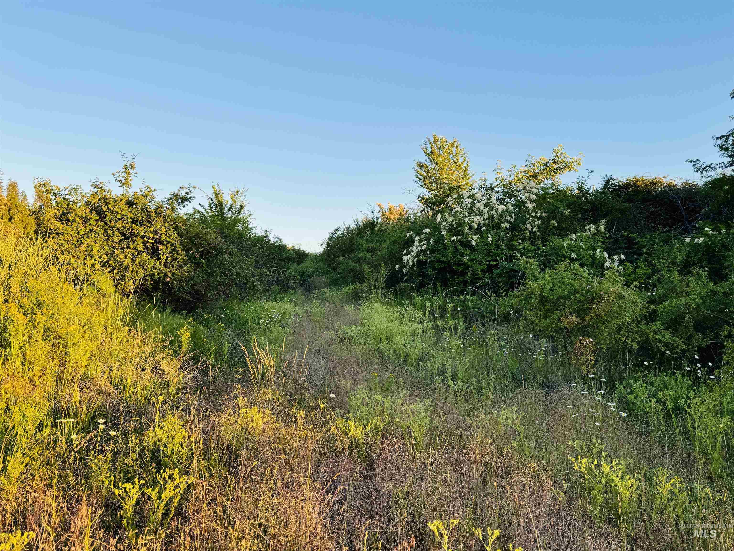 TBD Lot #3 Beaverslide Rd, Kamiah, Idaho 83536, Land For Sale, Price $175,000,MLS 98920321