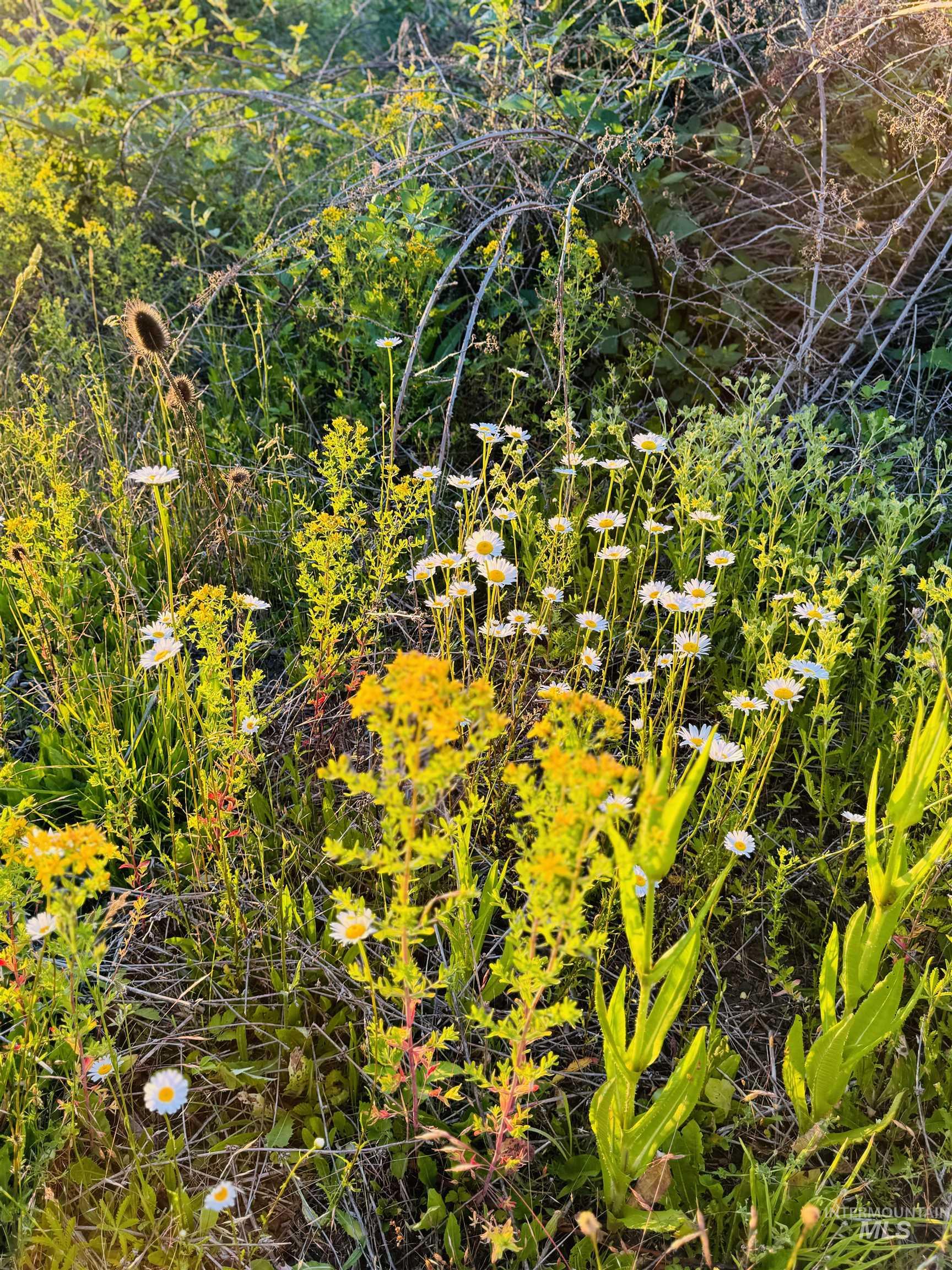 TBD Lot #3 Beaverslide Rd, Kamiah, Idaho 83536, Land For Sale, Price $175,000,MLS 98920321