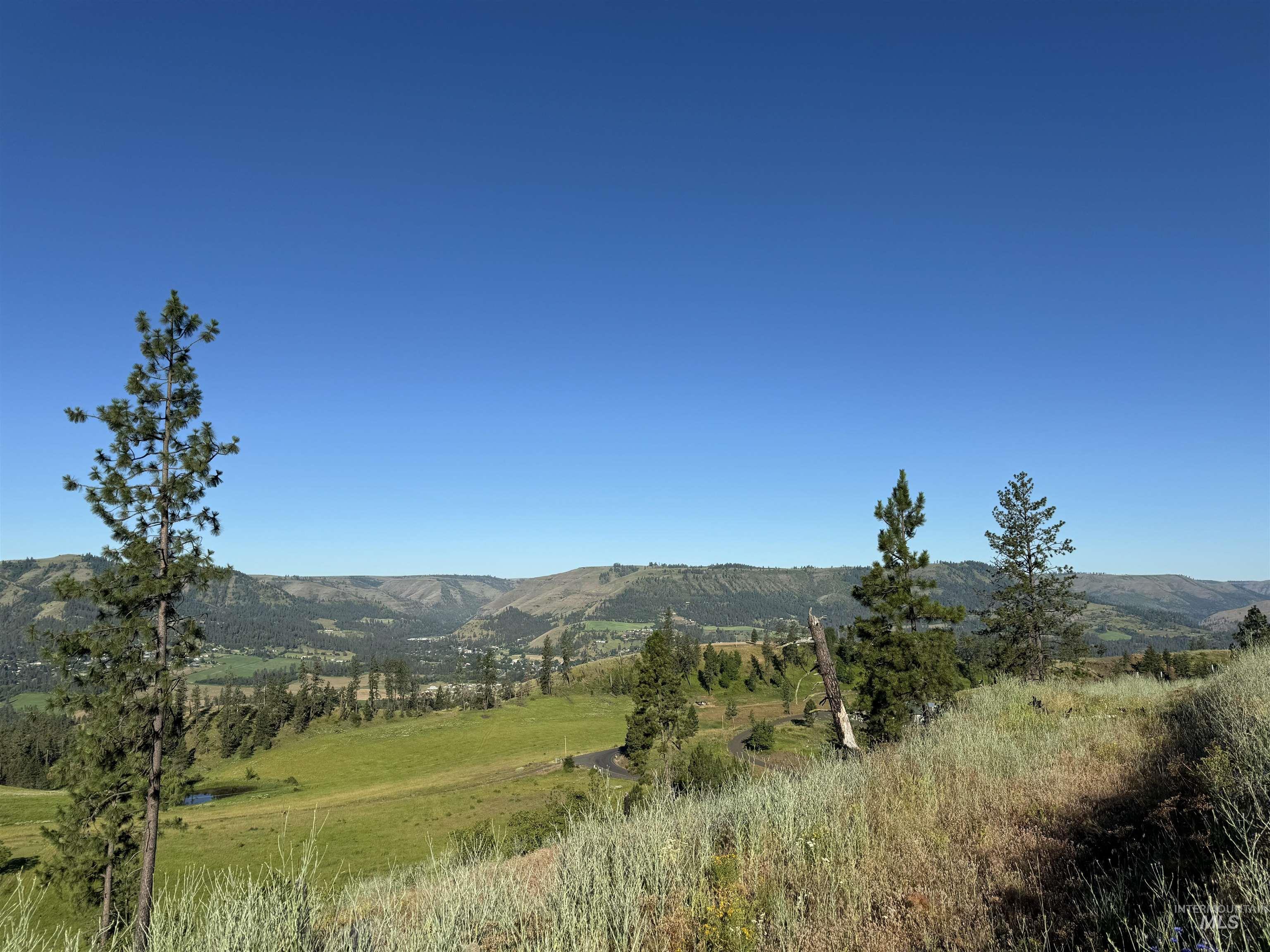 TBD Lot #4 Beaverslide Rd, Kamiah, Idaho 83536, Land For Sale, Price $160,000,MLS 98920356