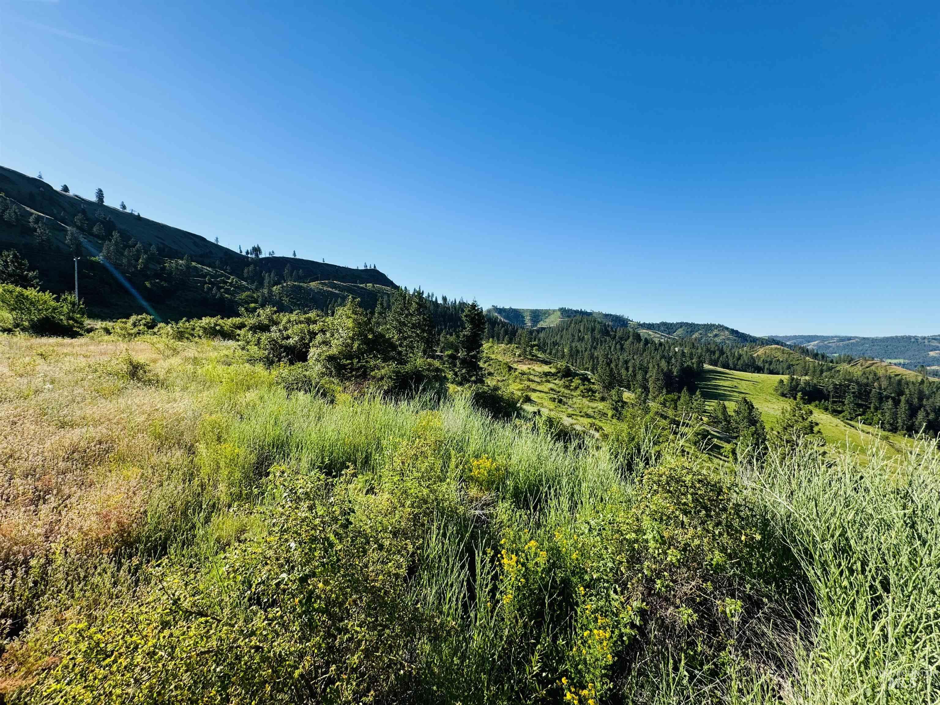 TBD Lot #4 Beaverslide Rd, Kamiah, Idaho 83536, Land For Sale, Price $160,000,MLS 98920356