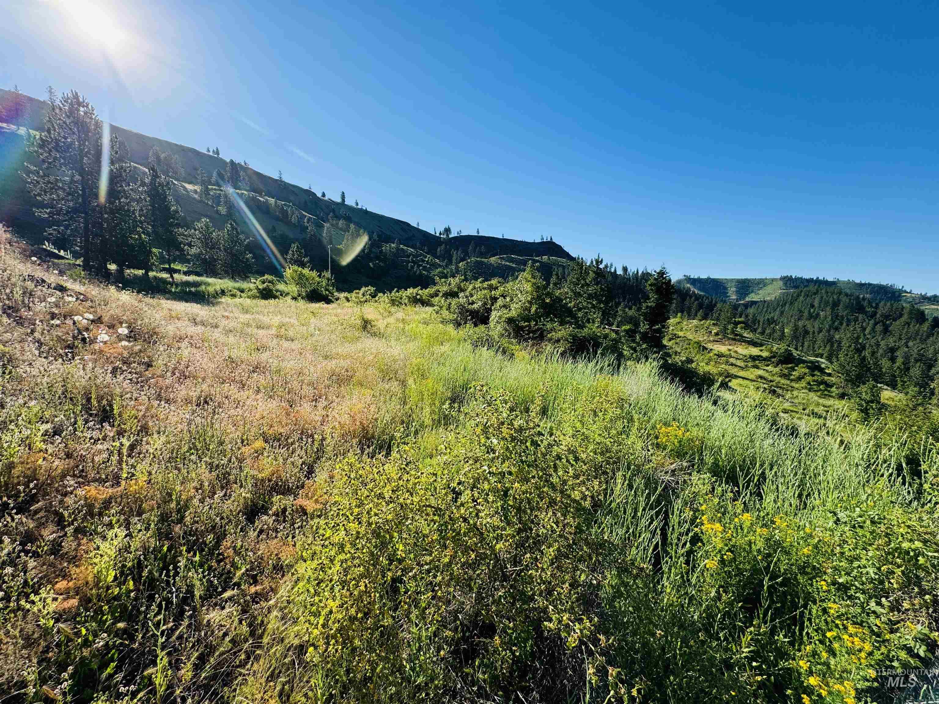 TBD Lot #4 Beaverslide Rd, Kamiah, Idaho 83536, Land For Sale, Price $160,000,MLS 98920356
