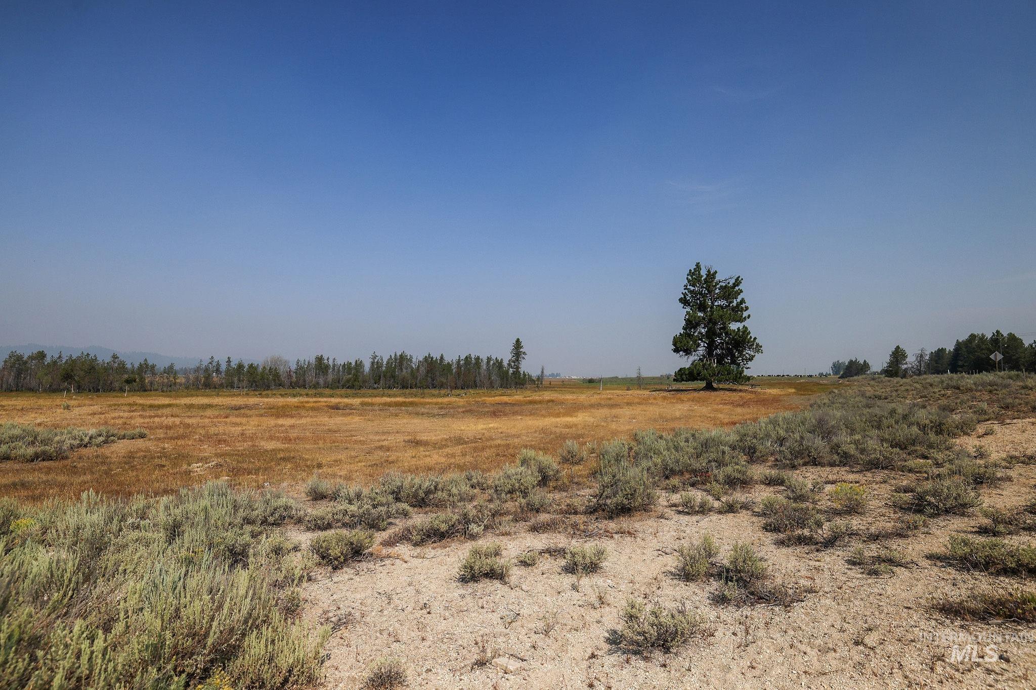 000 Highway 55, Cascade, Idaho 83611, Land For Sale, Price $4,677,000,MLS 98920638