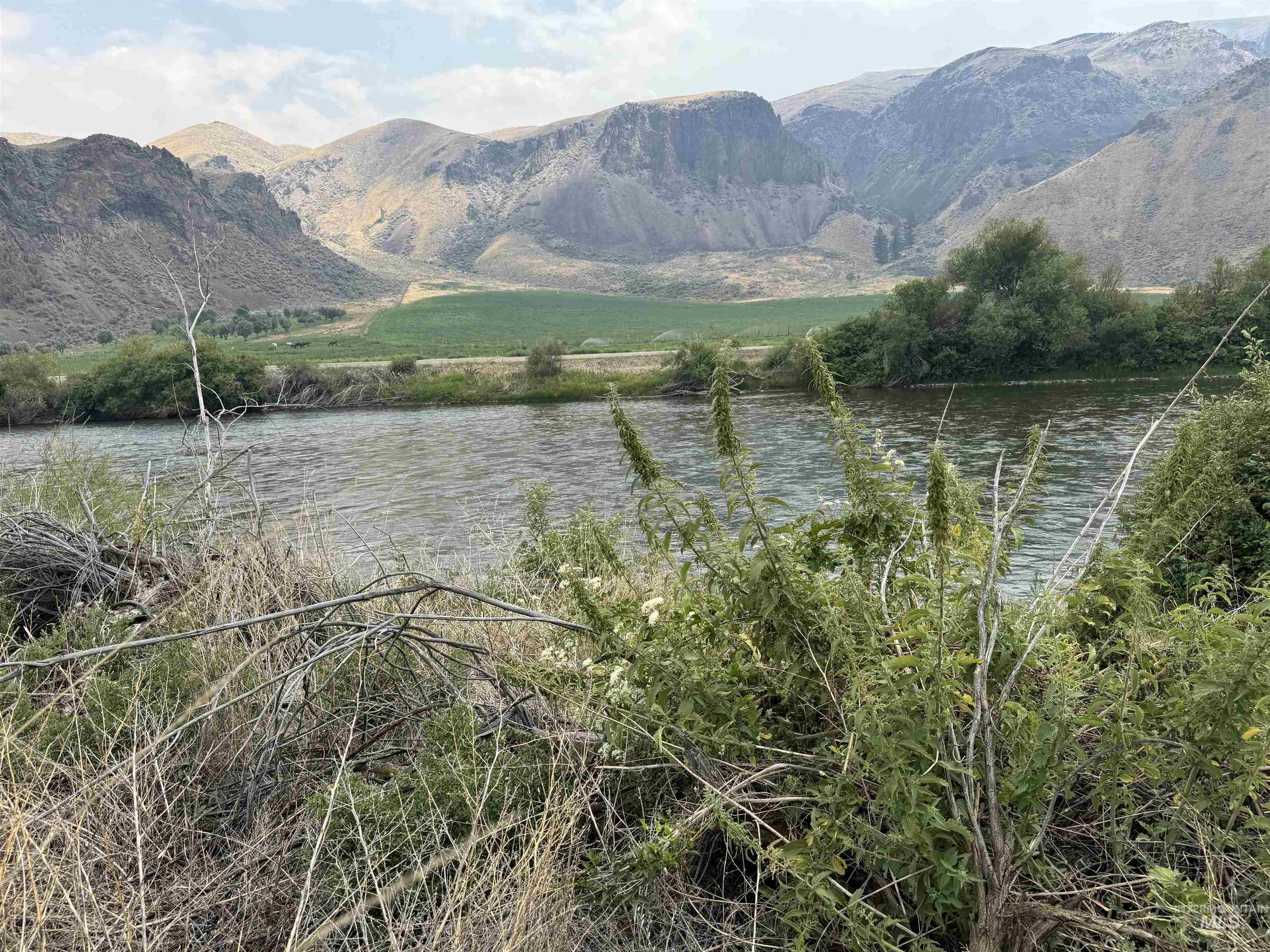 Salmon River Meadows Lot 61, Salmon, Idaho 83467, Land For Sale, Price $105,000, 98920829