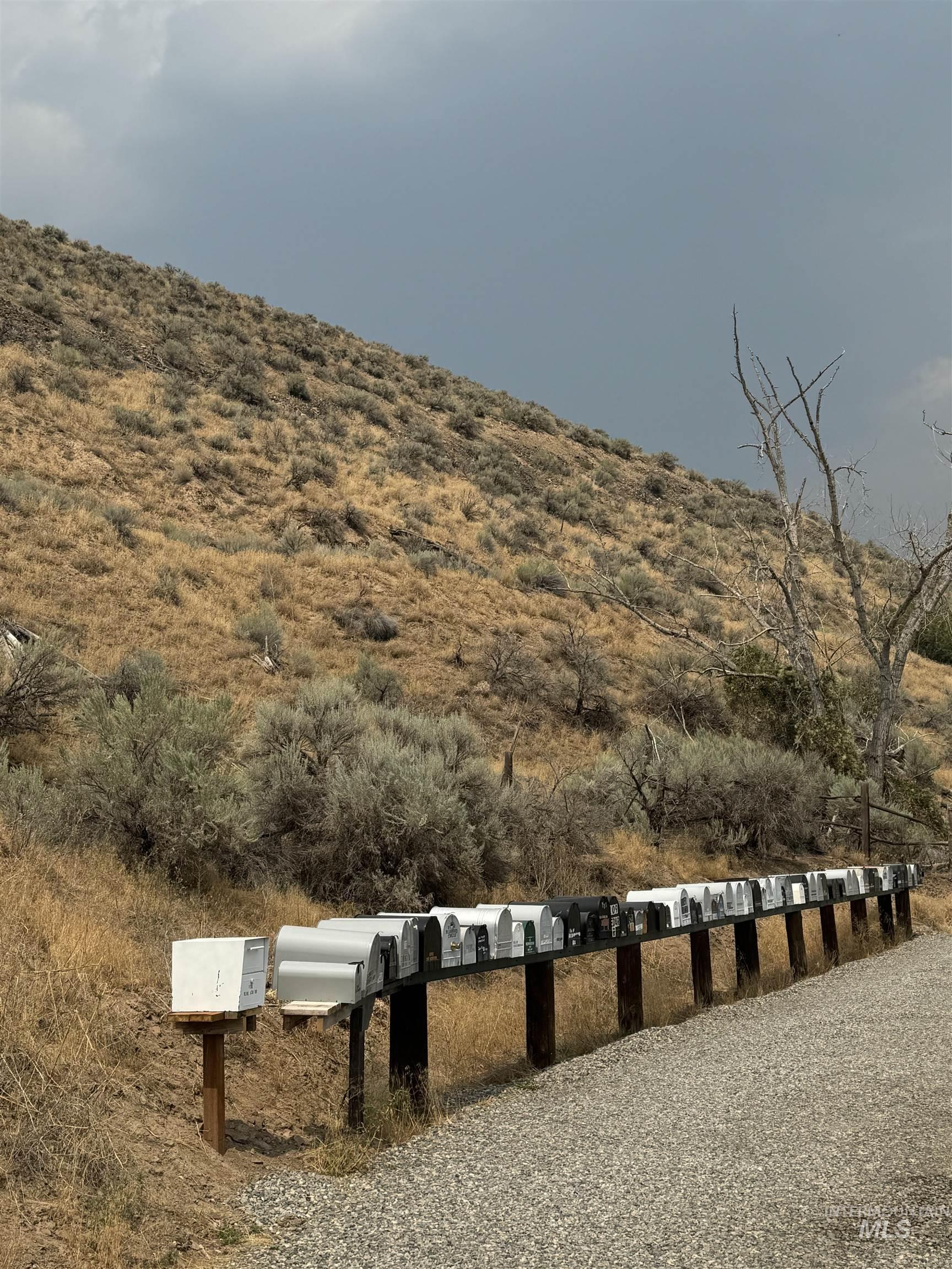 Salmon River Meadows Lots 61 & 62, Salmon, Idaho 83467, Land For Sale, Price $210,000, 98920831