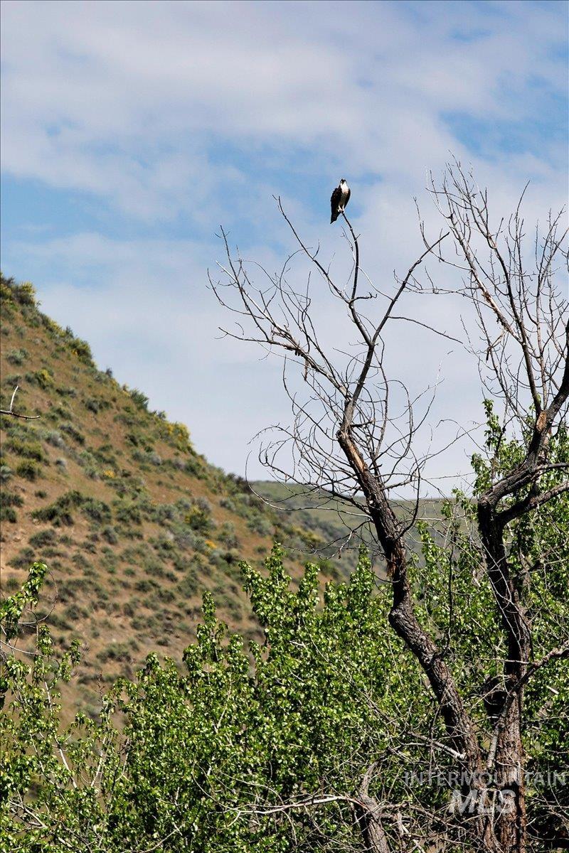 6856 Highway 55, Horseshoe Bend, Idaho 83629, 3 Bedrooms, 3 Bathrooms, Residential For Sale, Price $1,498,000,MLS 98923100