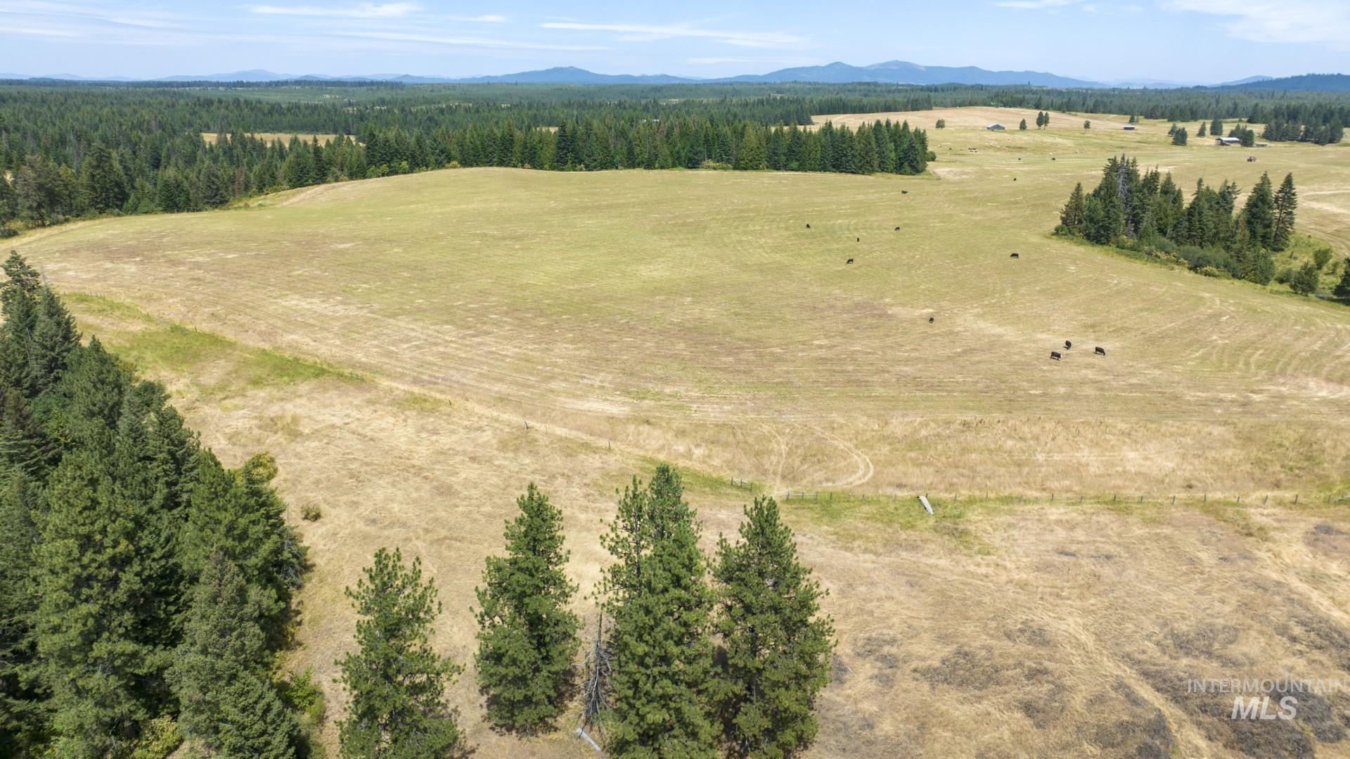 1605 Jasmine Ln, Parcels 14 & 15, Weippe, Idaho 83553, Land For Sale, Price $340,000,MLS 98923378