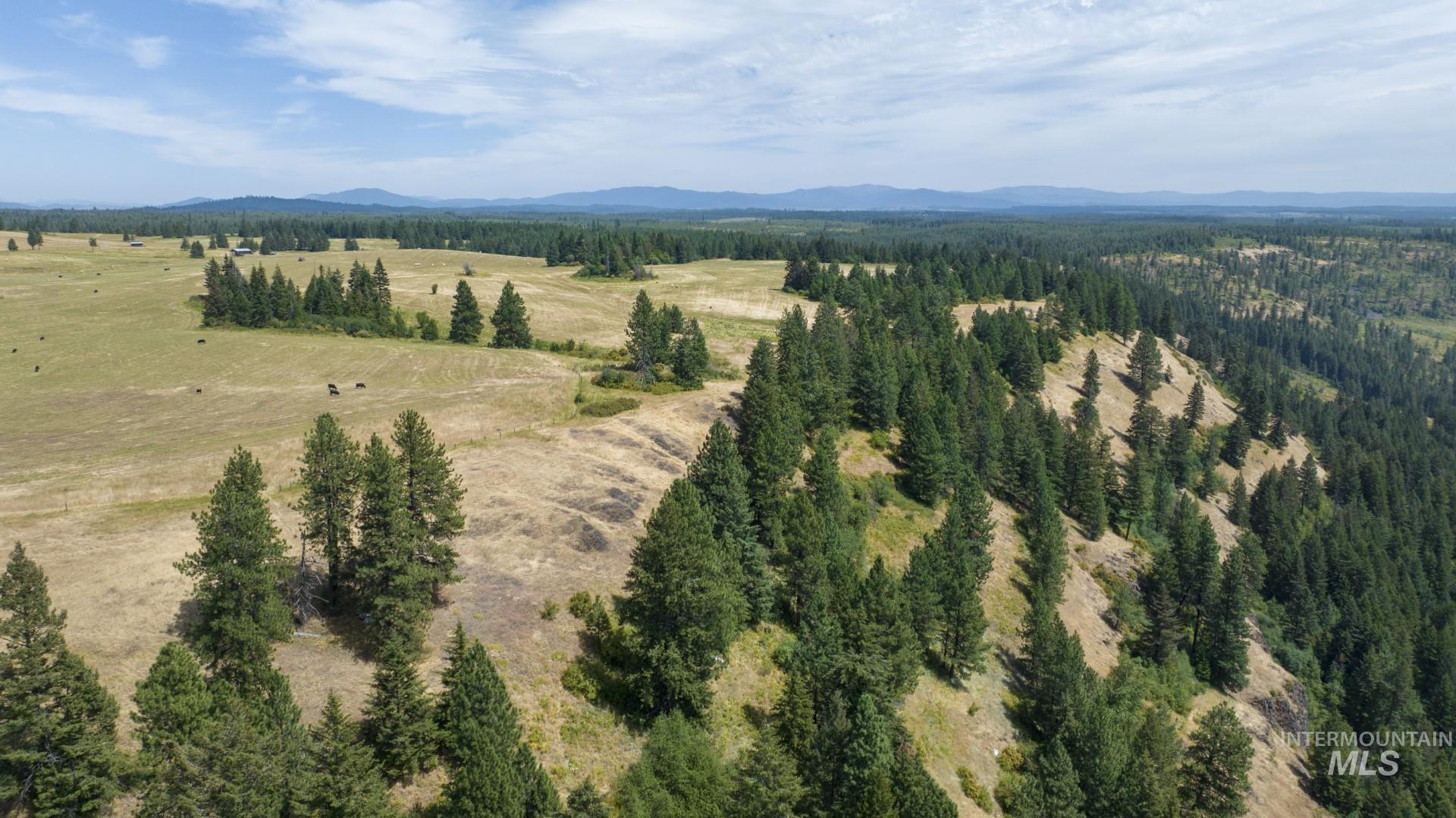 1605 Jasmine Ln, Parcels 14 & 15, Weippe, Idaho 83553, Land For Sale, Price $340,000,MLS 98923378