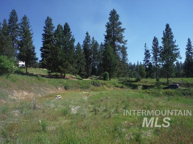 38 Deadman Gulch Rd, Boise, Idaho 83716, Land For Sale, Price $189,999,MLS 98925295
