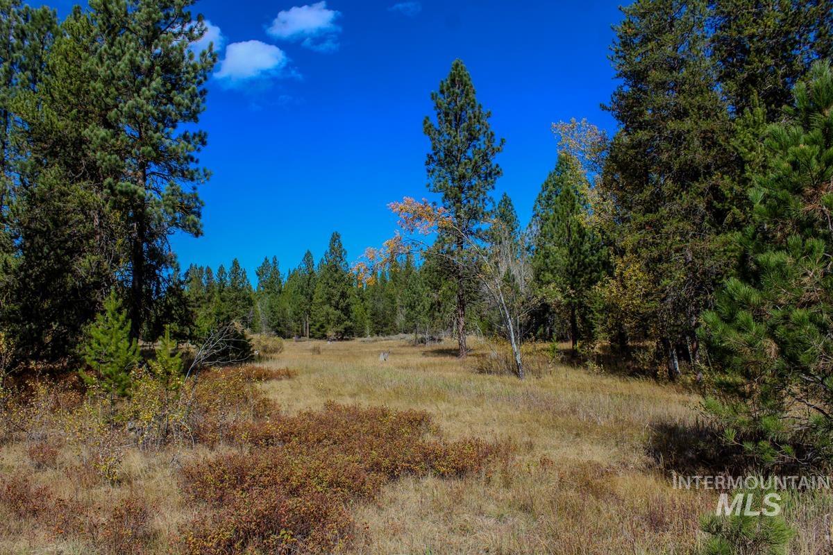 110 Warner Drive, Cascade, Idaho 83611, Land For Sale, Price $285,000, 98925331