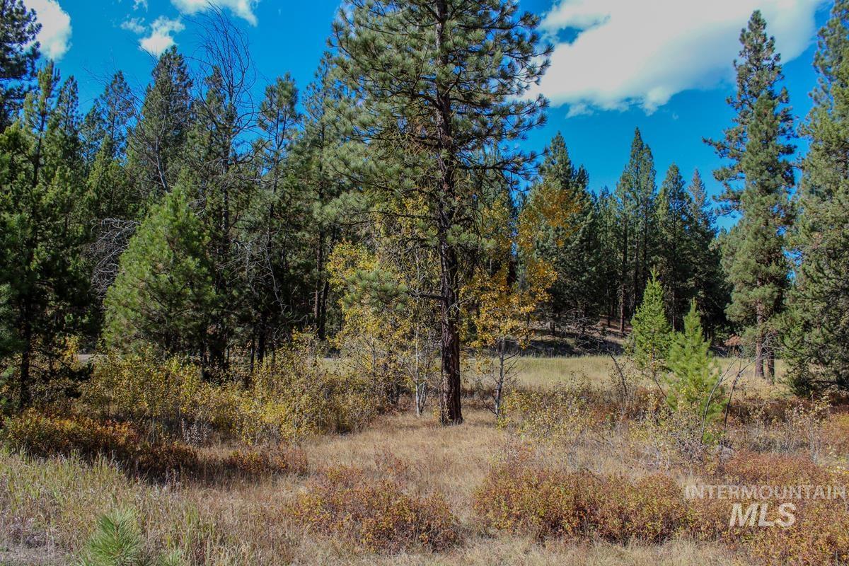 110 Warner Drive, Cascade, Idaho 83611, Land For Sale, Price $285,000, 98925331