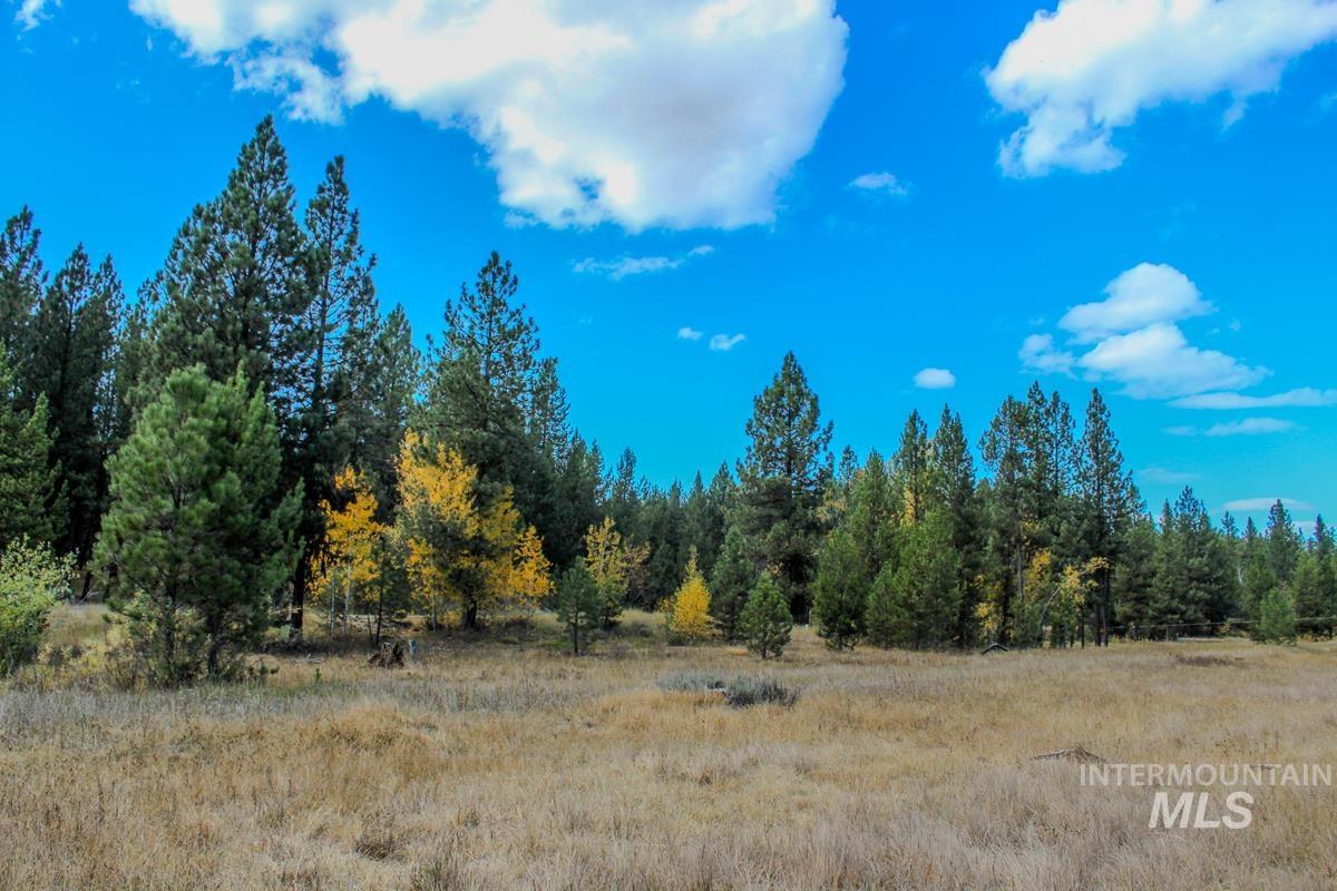 110 Warner Drive, Cascade, Idaho 83611, Land For Sale, Price $285,000, 98925331