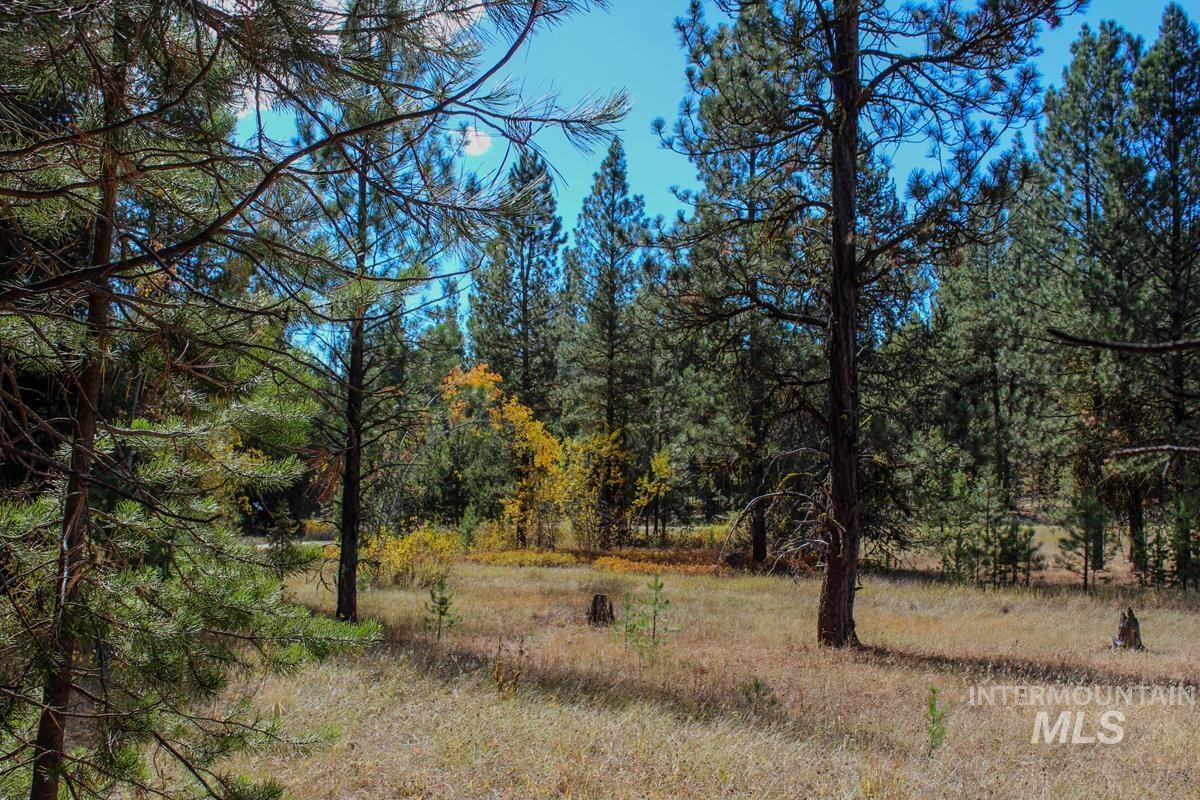 110 Warner Drive, Cascade, Idaho 83611, Land For Sale, Price $285,000, 98925331
